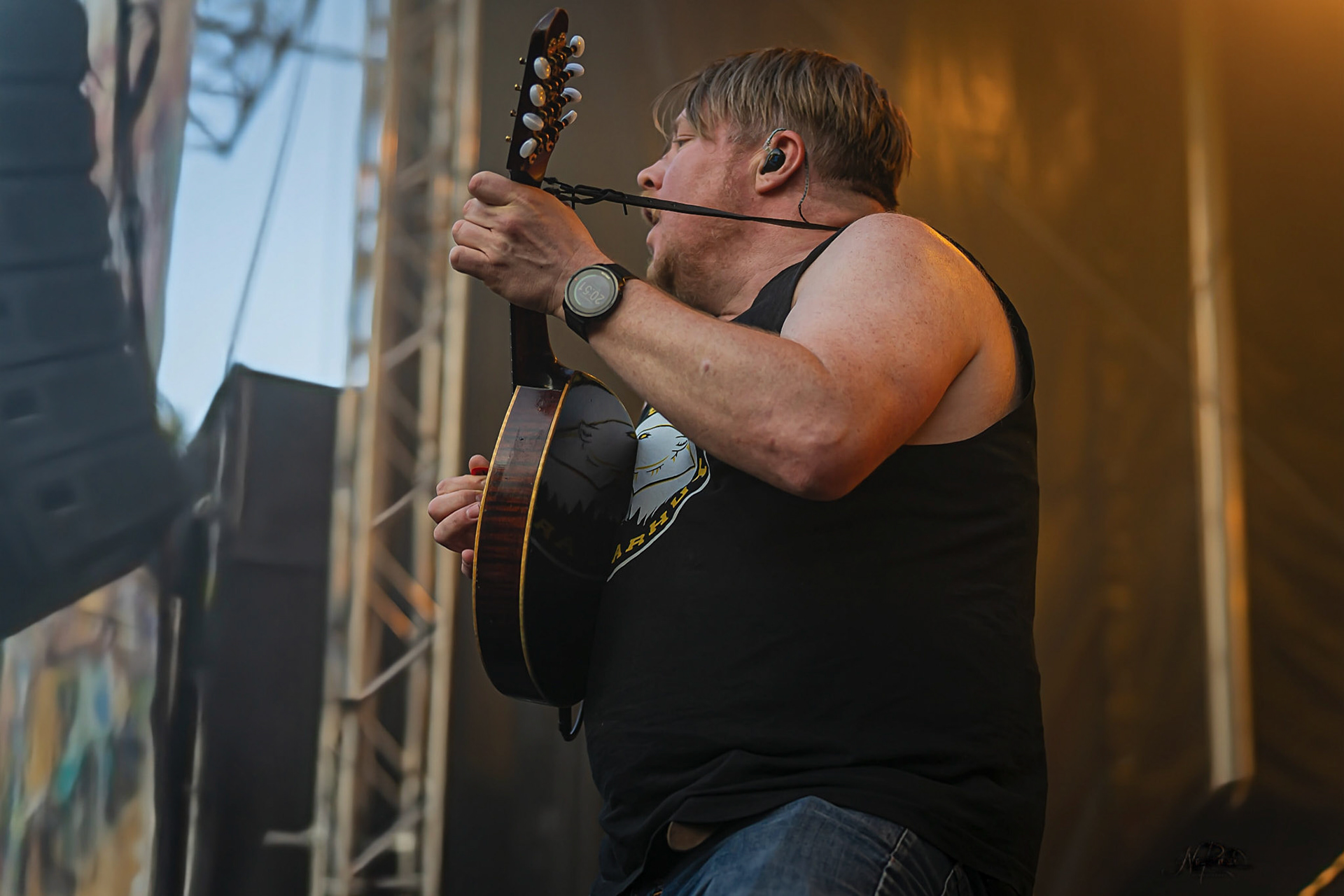 Steve´n´Seagulls 10