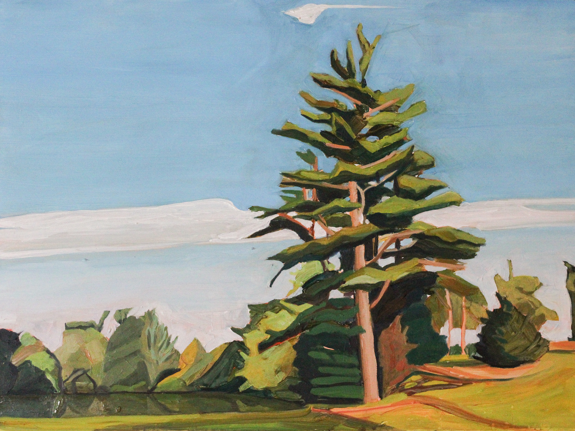 Chase Farm Pine, oil on wood panel, 12" x 16"