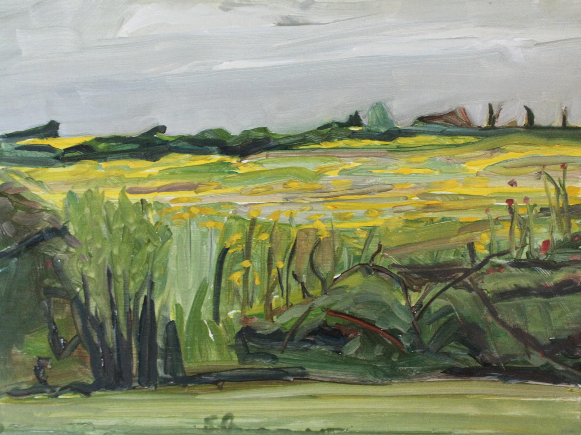 Yellow Sachuest Point, oil on wood panel, 9" x 12"