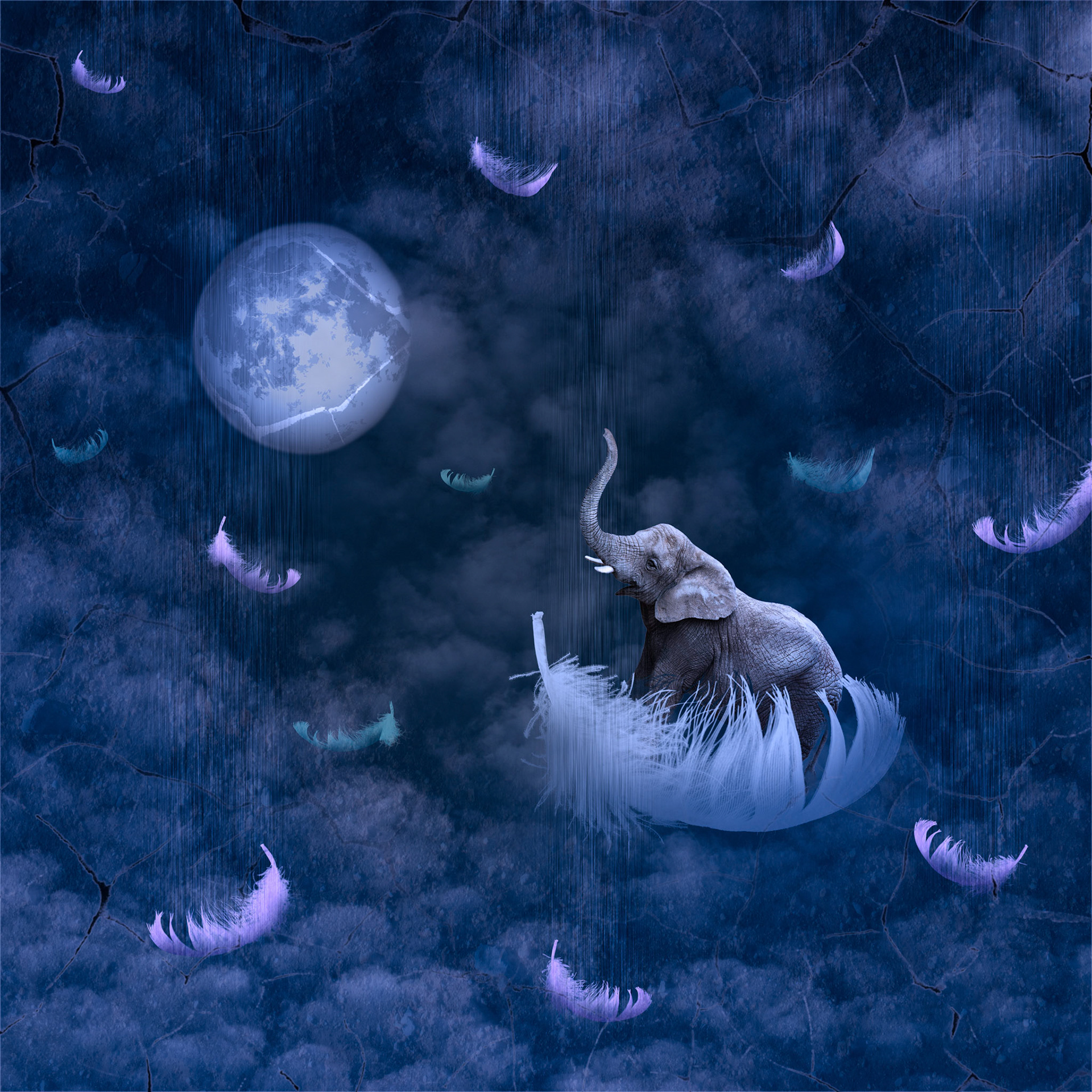 set of four white feathers