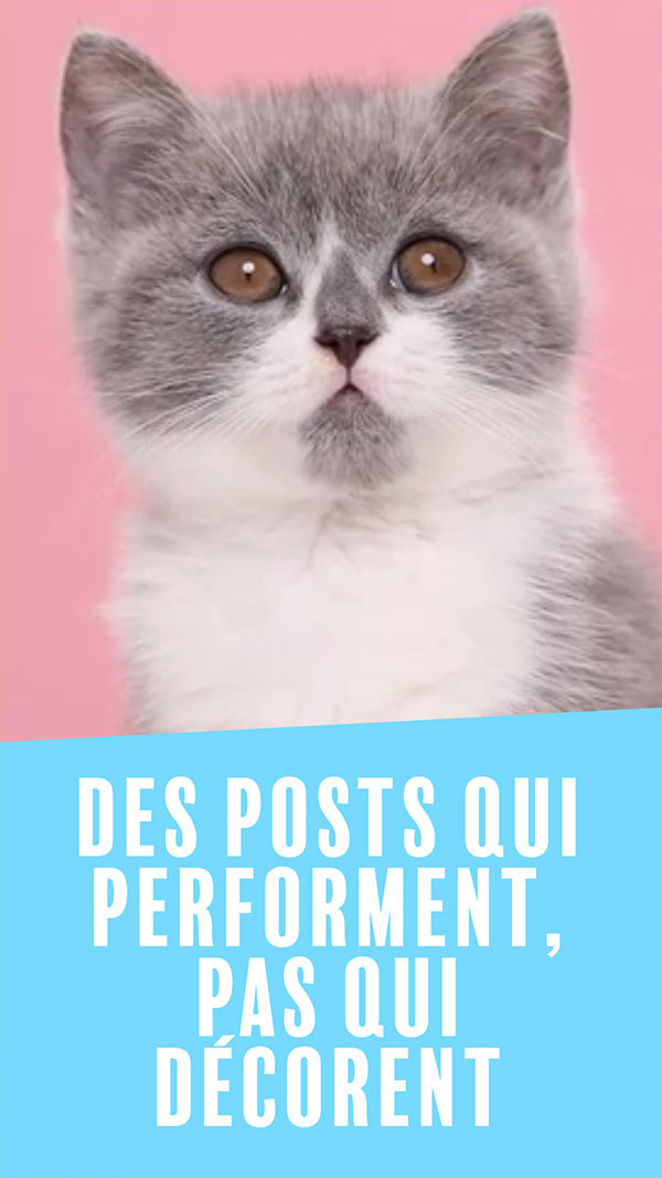 Des posts qui performent, pas qui décorent.