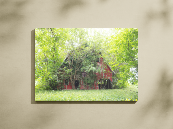 Barnstorm