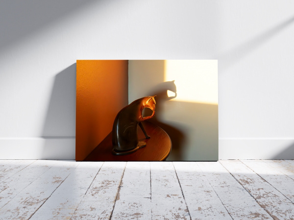 Dawn Cat