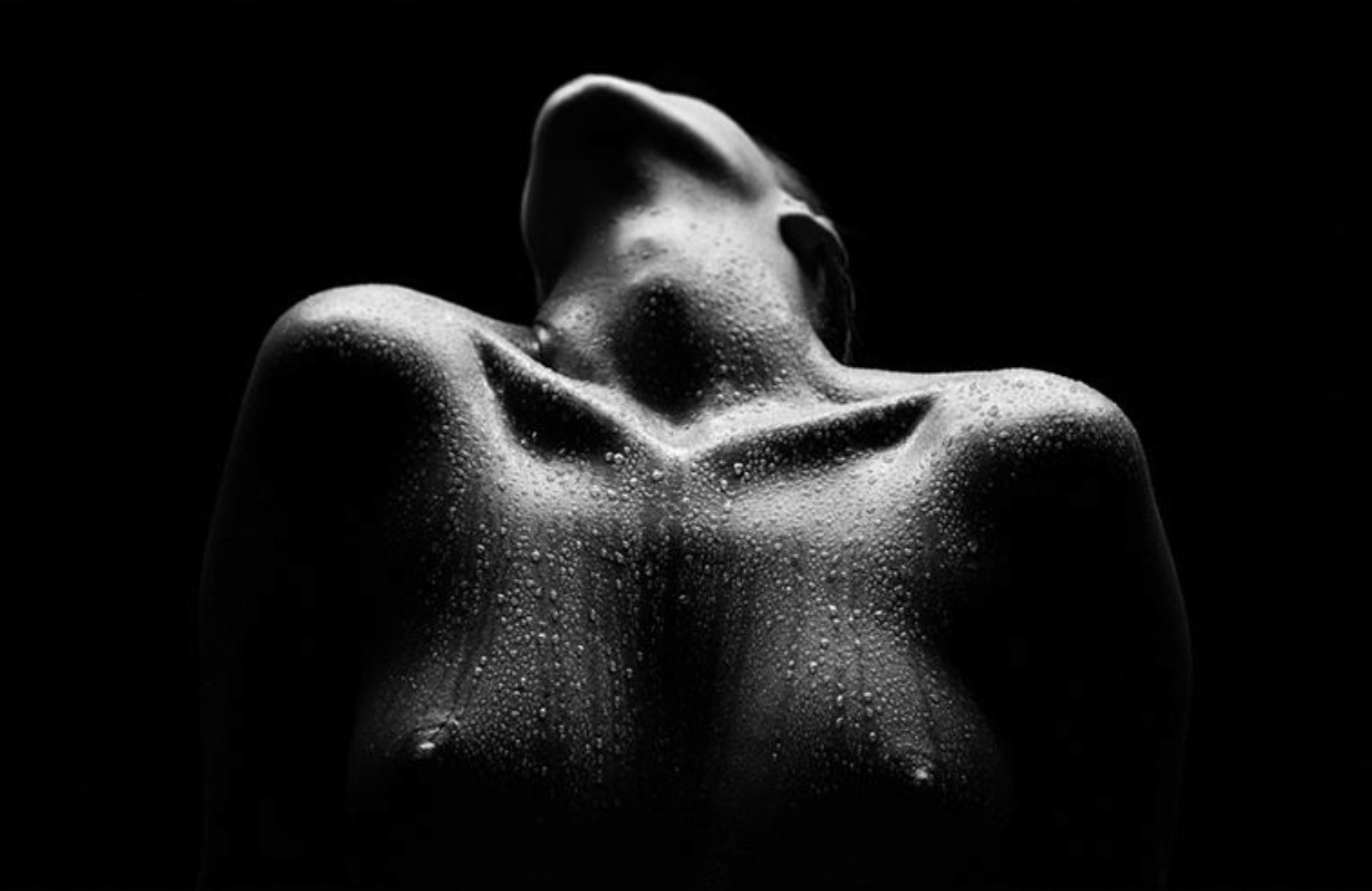 Bodyscapes