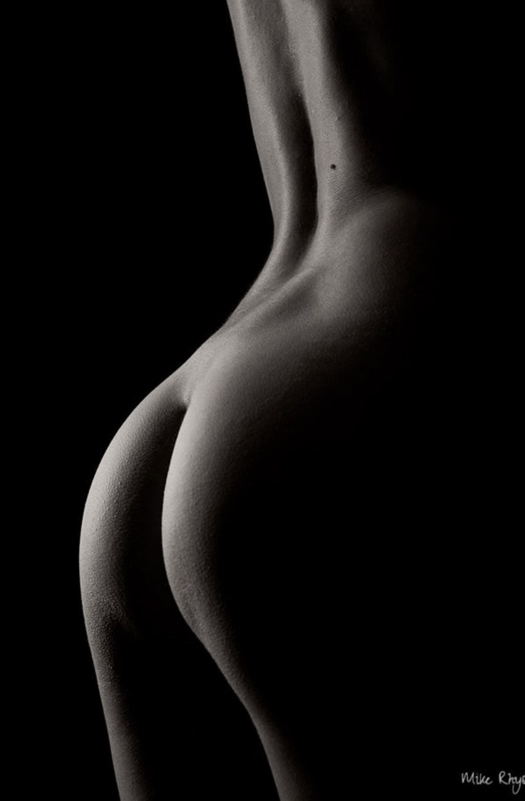 Bodyscapes
