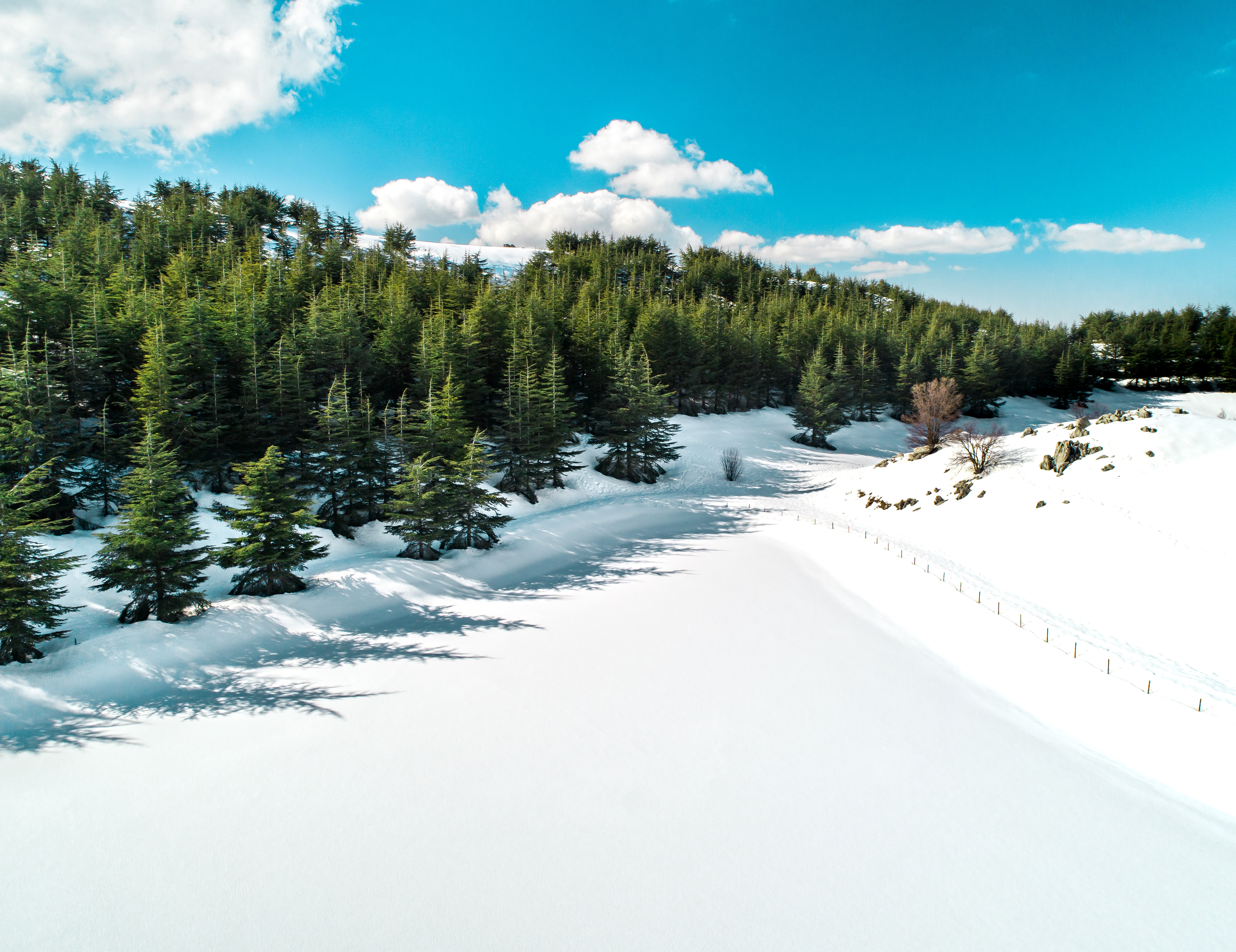 Barouk ©Rights Reserved