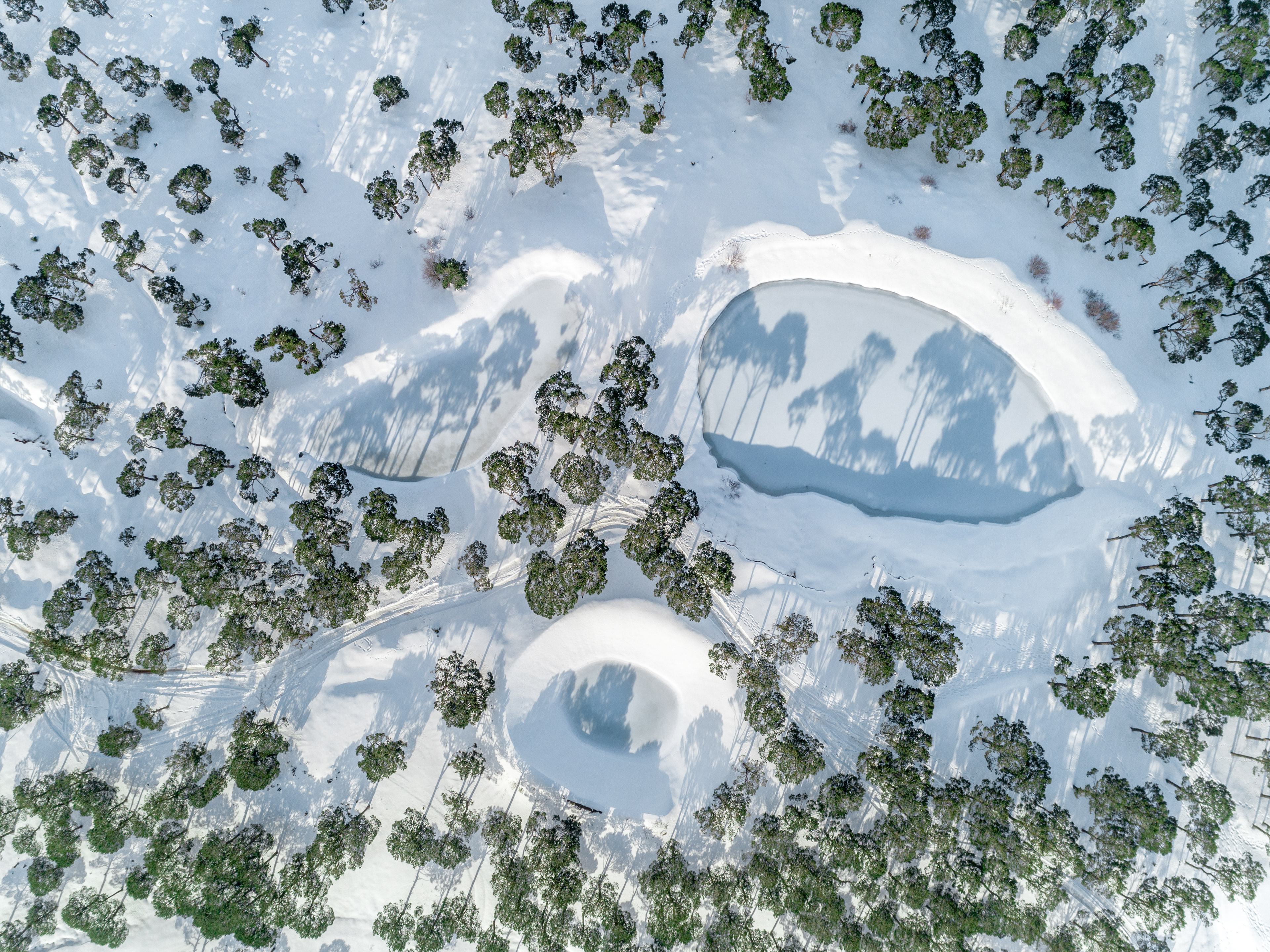 Falougha ©Rights Reserved