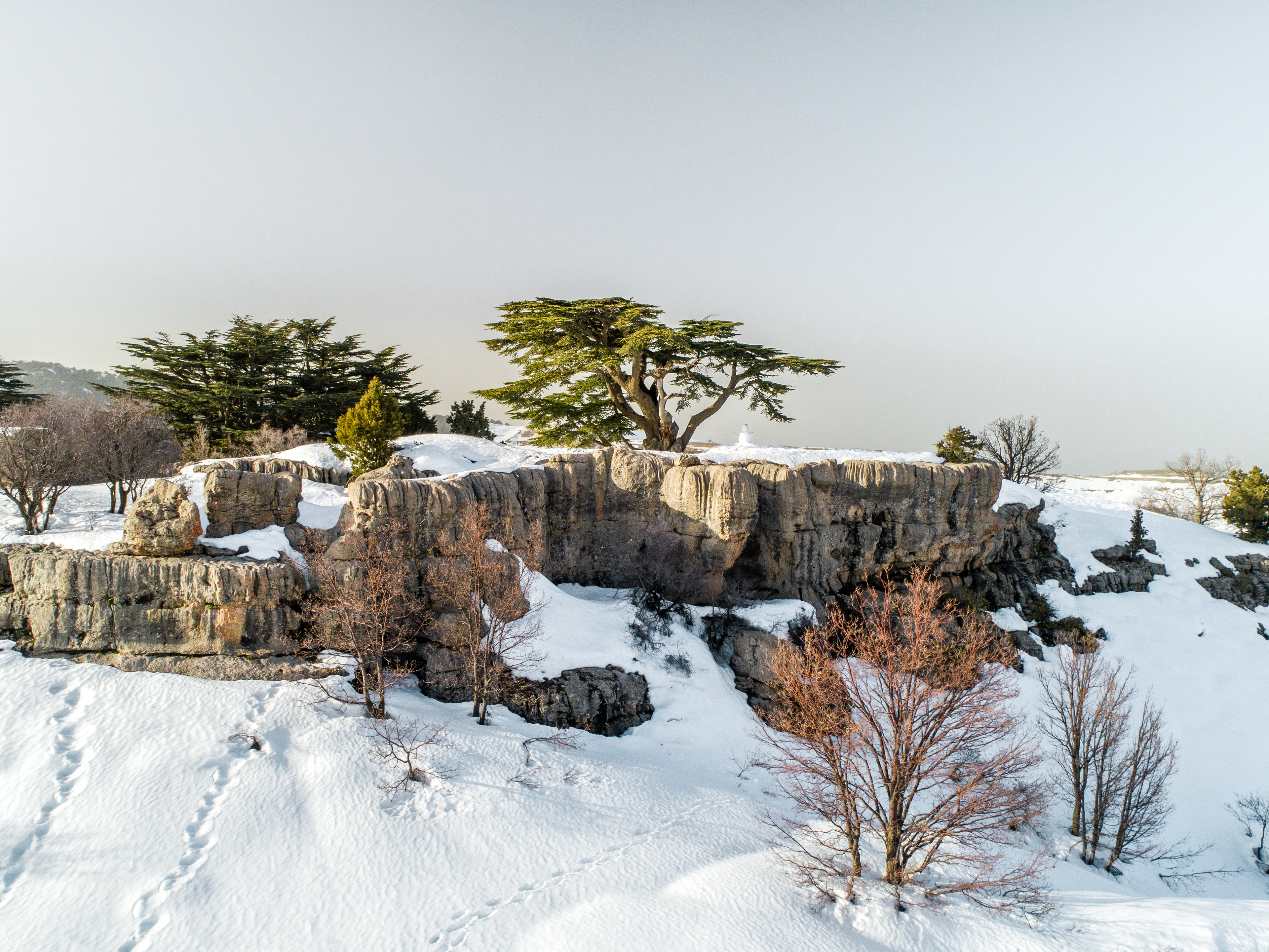 Tanourine ©Rights Reserved