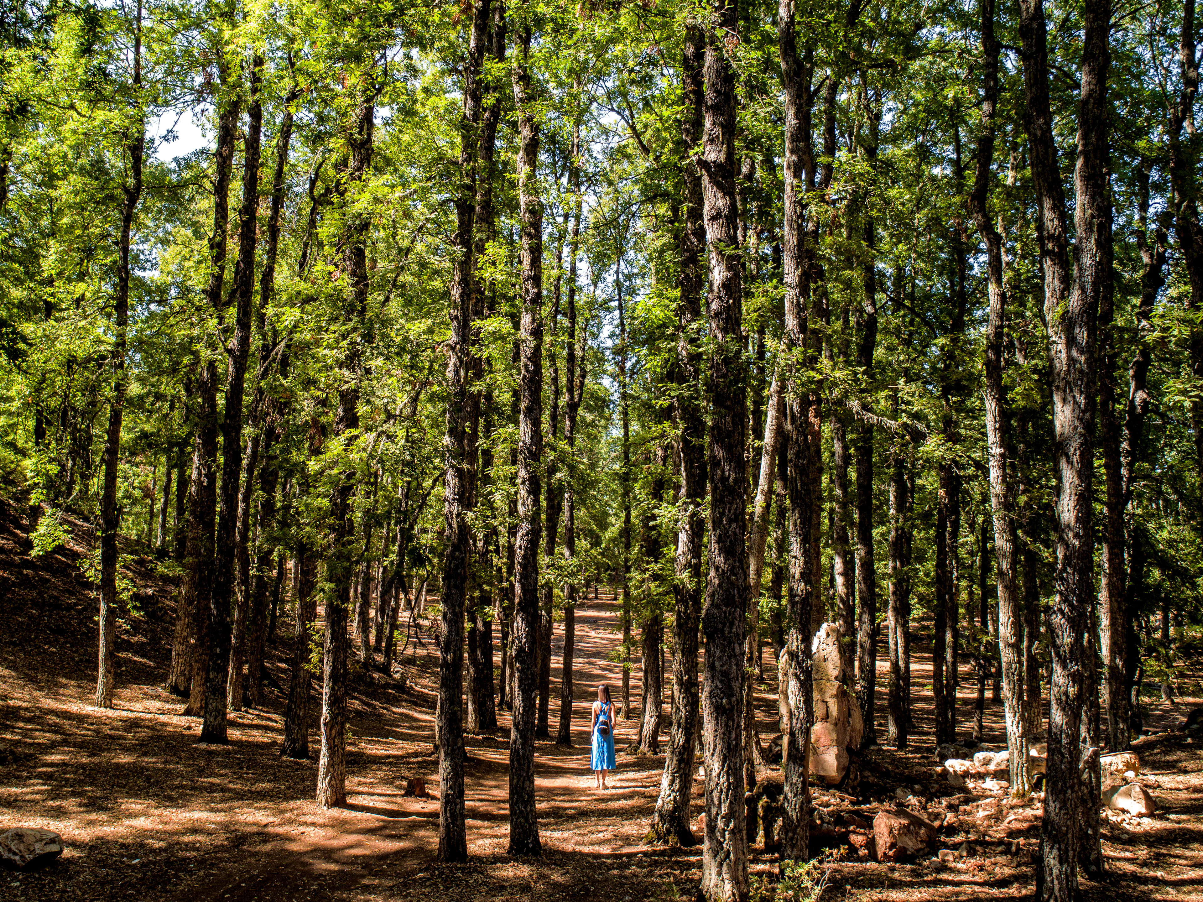 Qamouaa - Akkar ©Rights Reserved