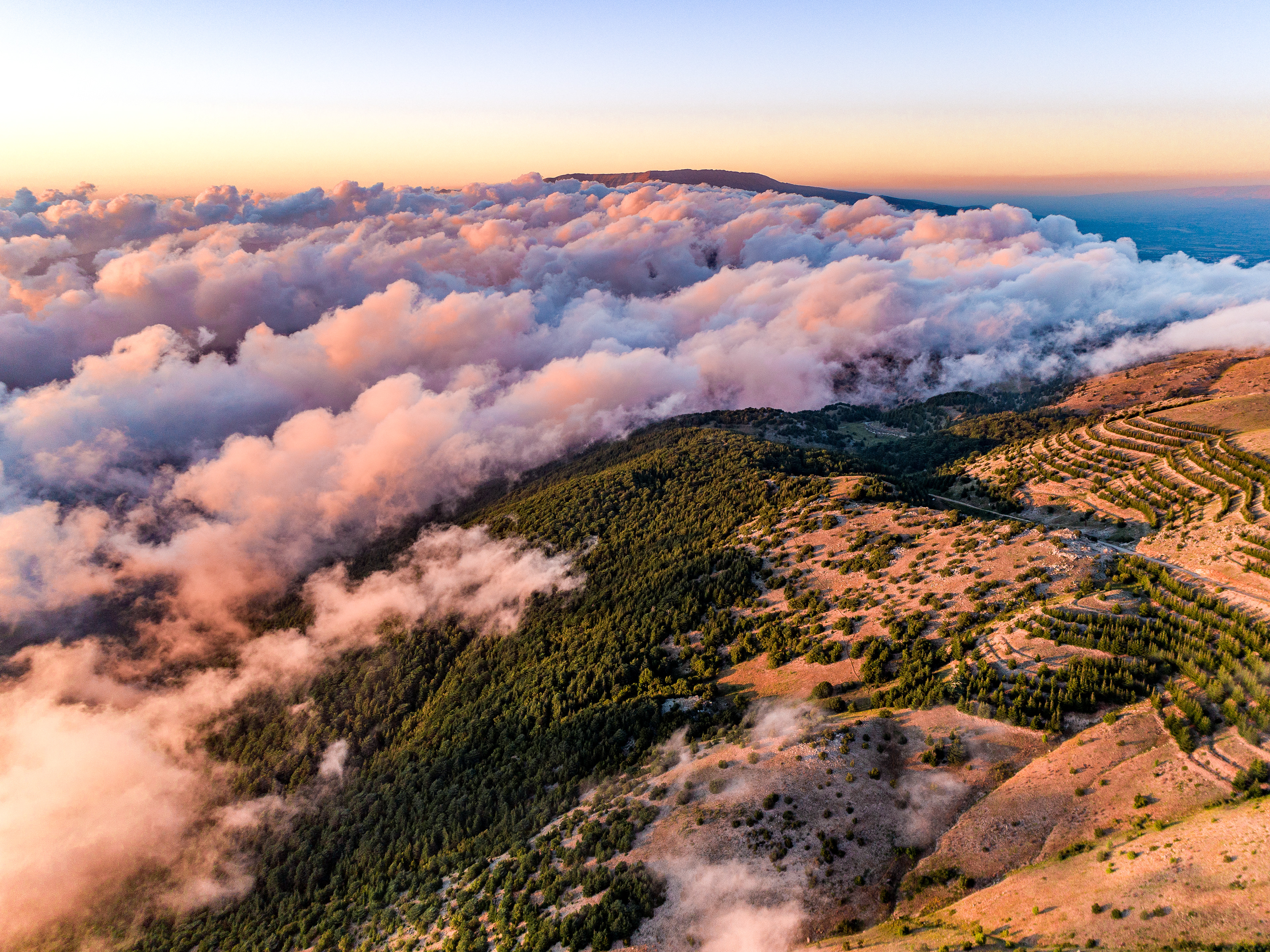 Maaser El Shouf ©Rights Reserved
