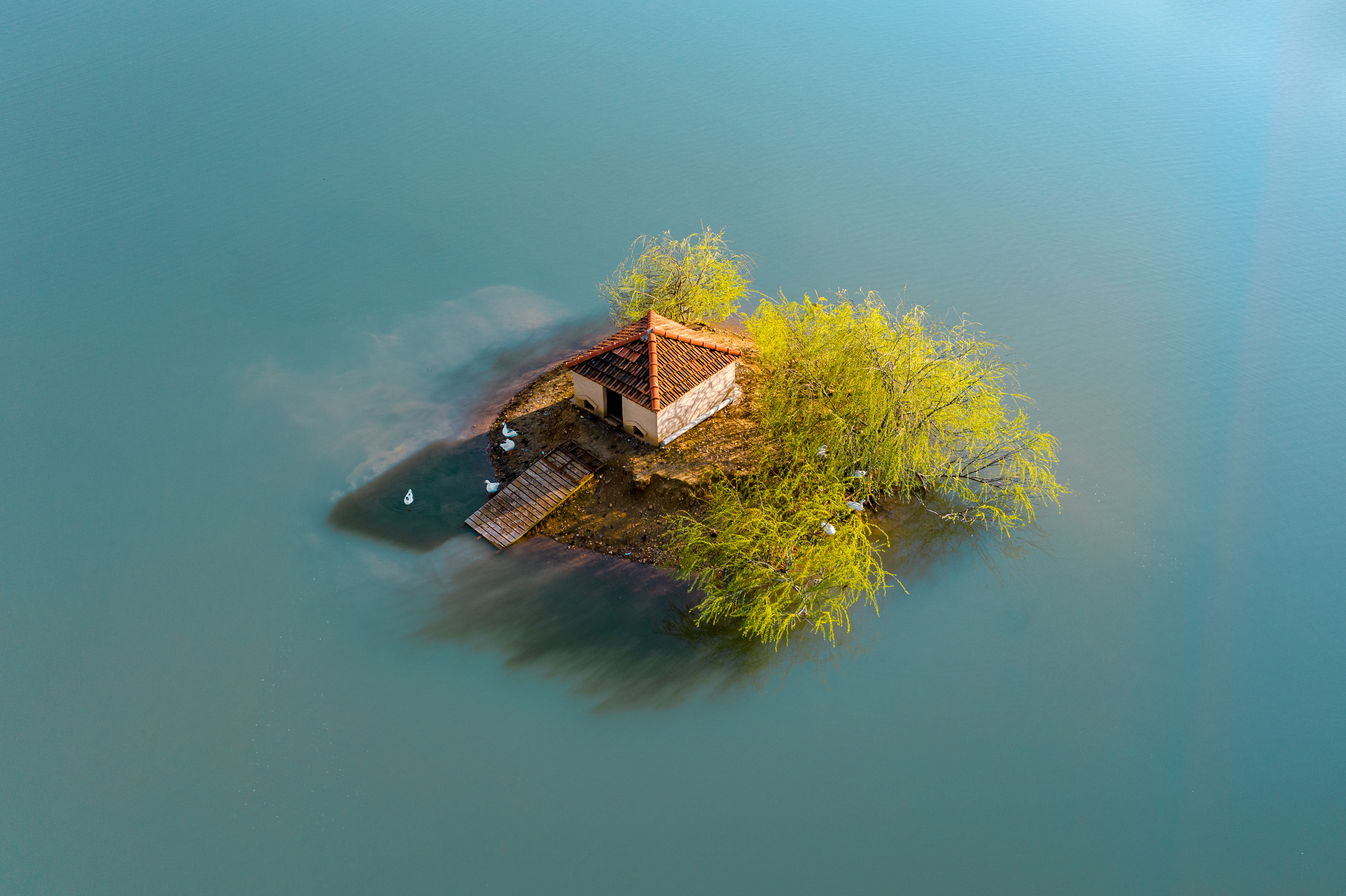 Taanayel - Bekaa ©Rights Reserved