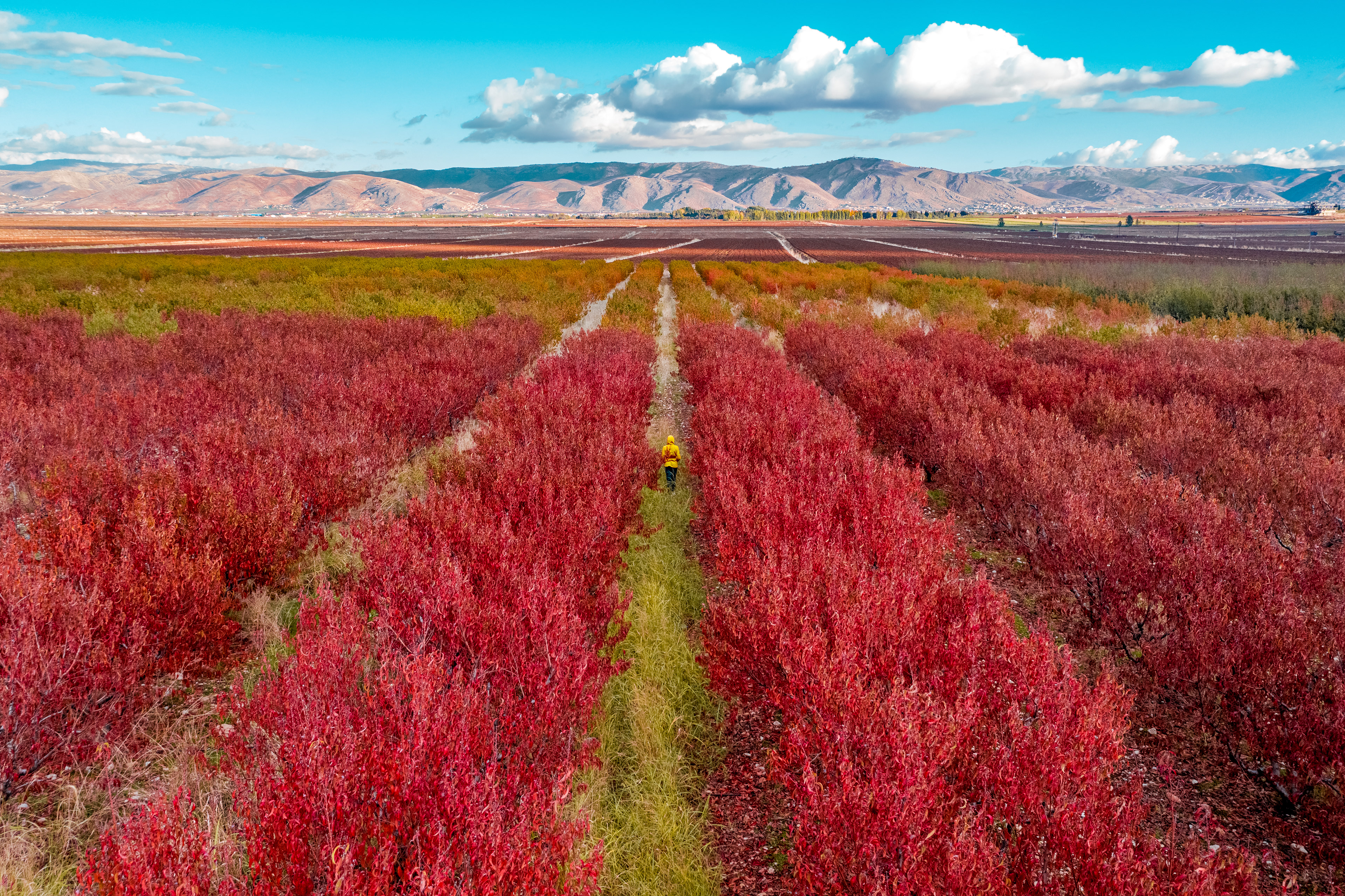 West Bekaa ©Rights Reserved