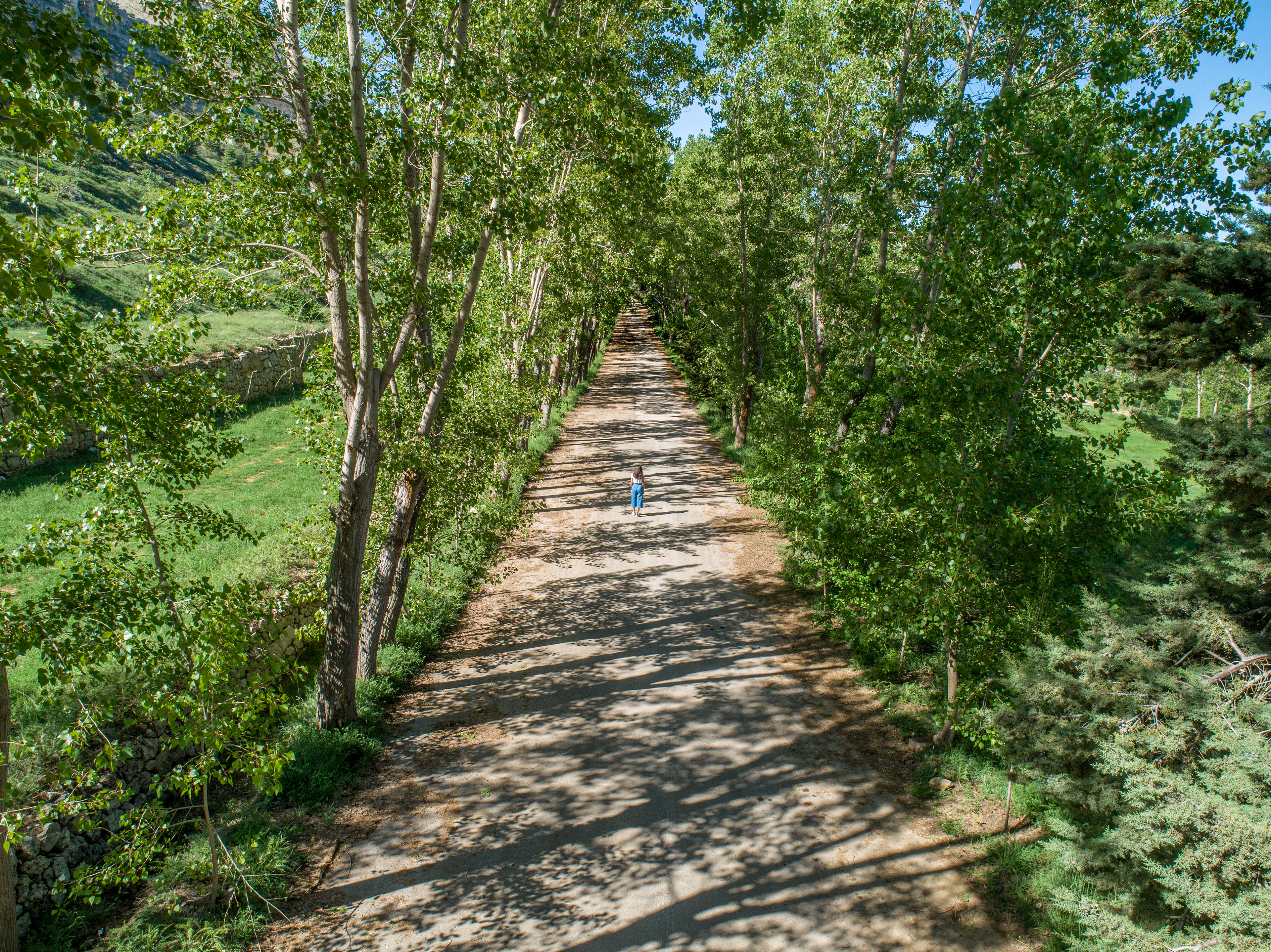 Laklouk ©Rights Reserved