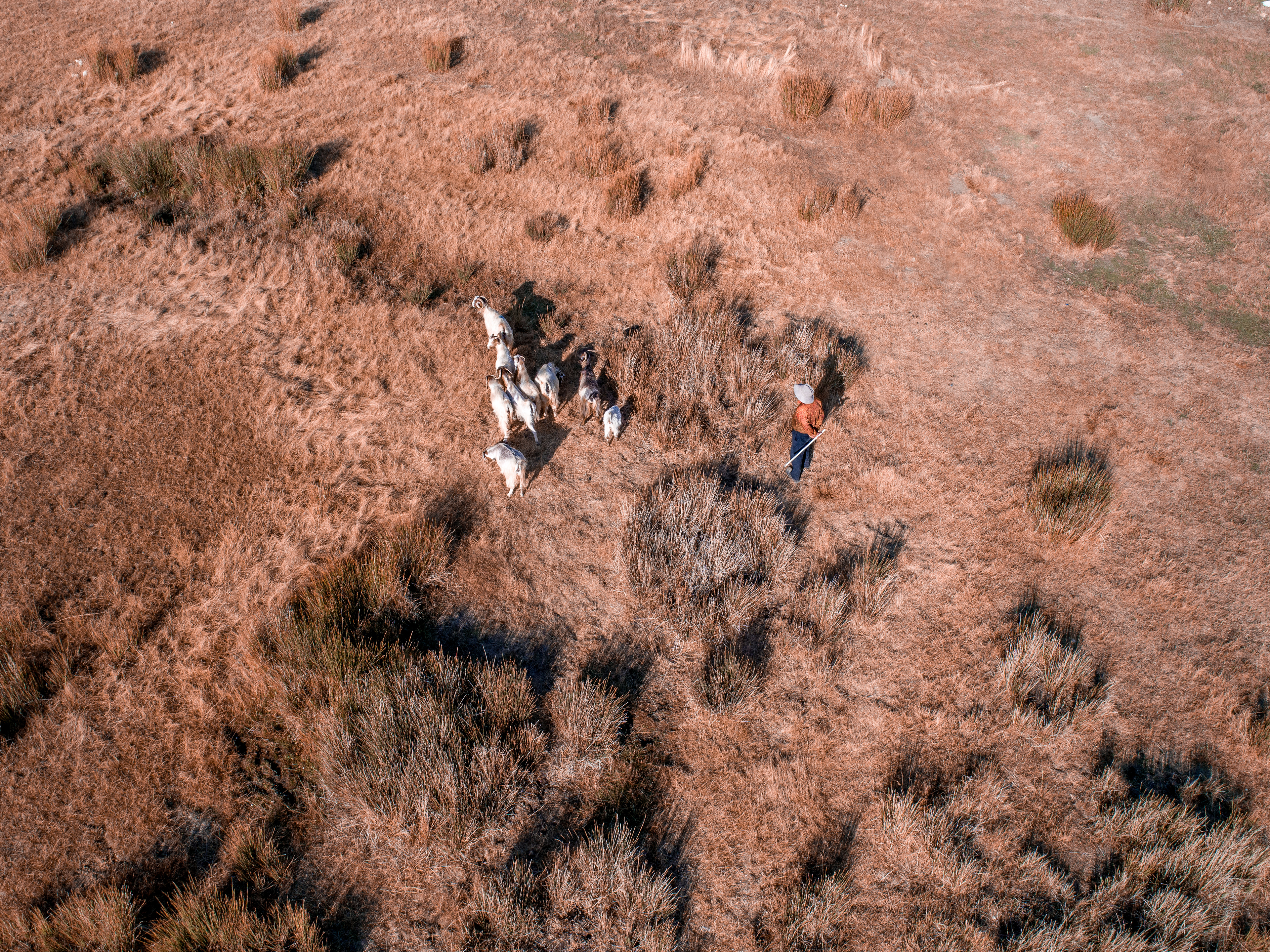 Ouyoun Orghosh ©Rights Reserved