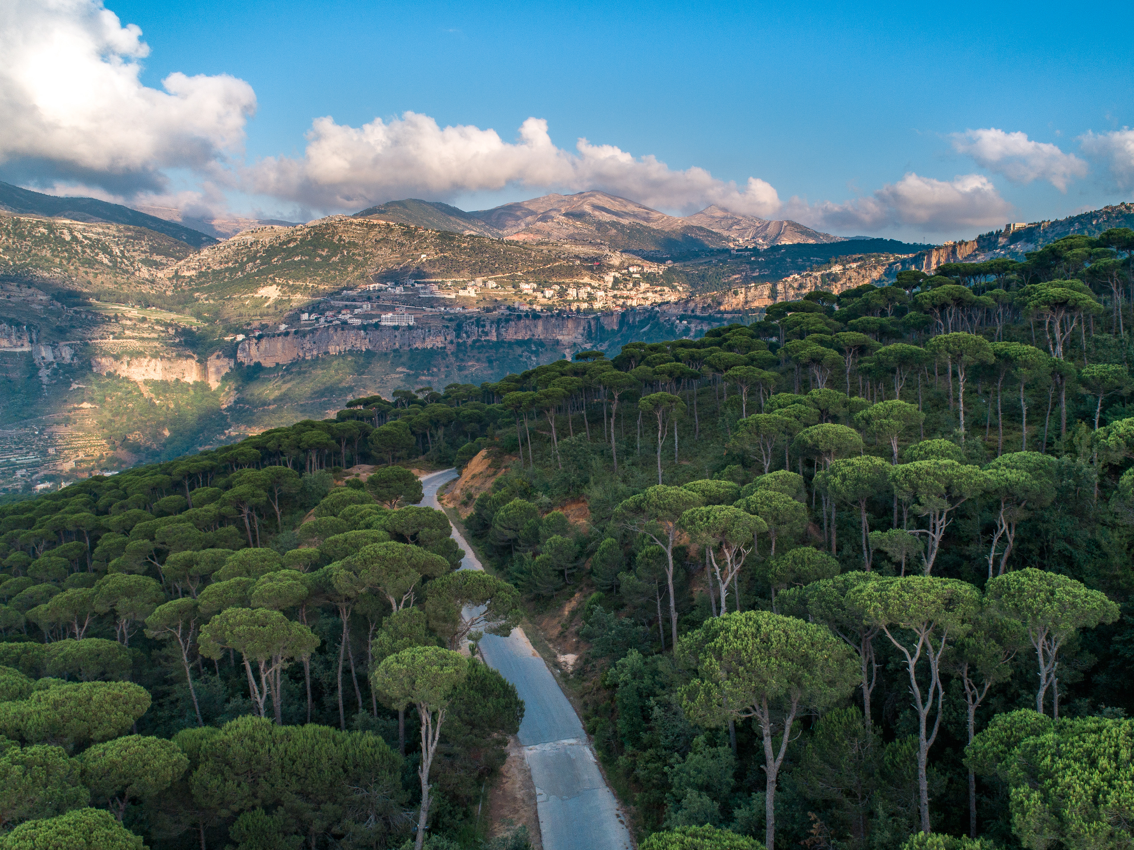 Bkassine ©Rights Reserved