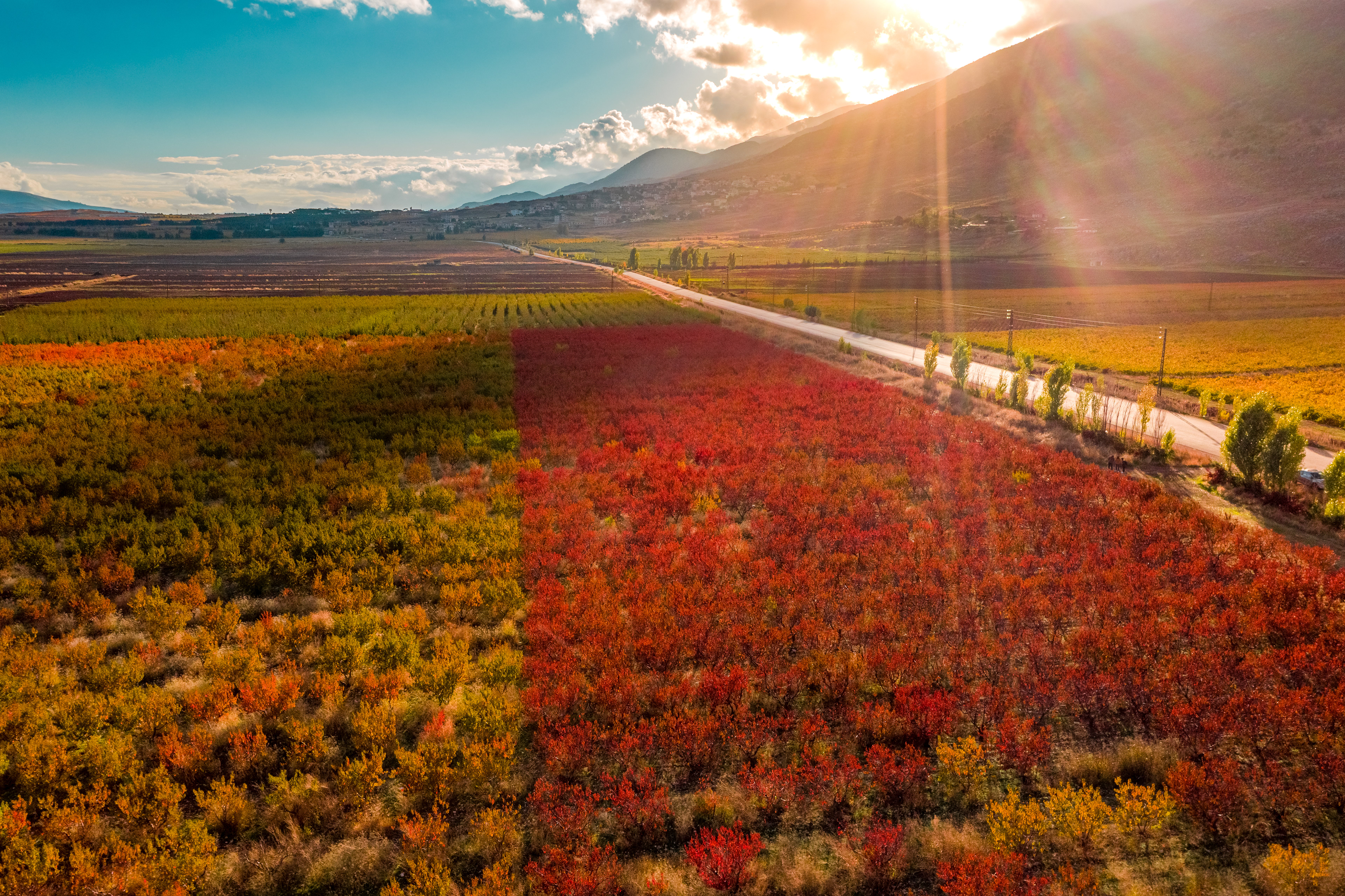 Aana ©Rights Reserved