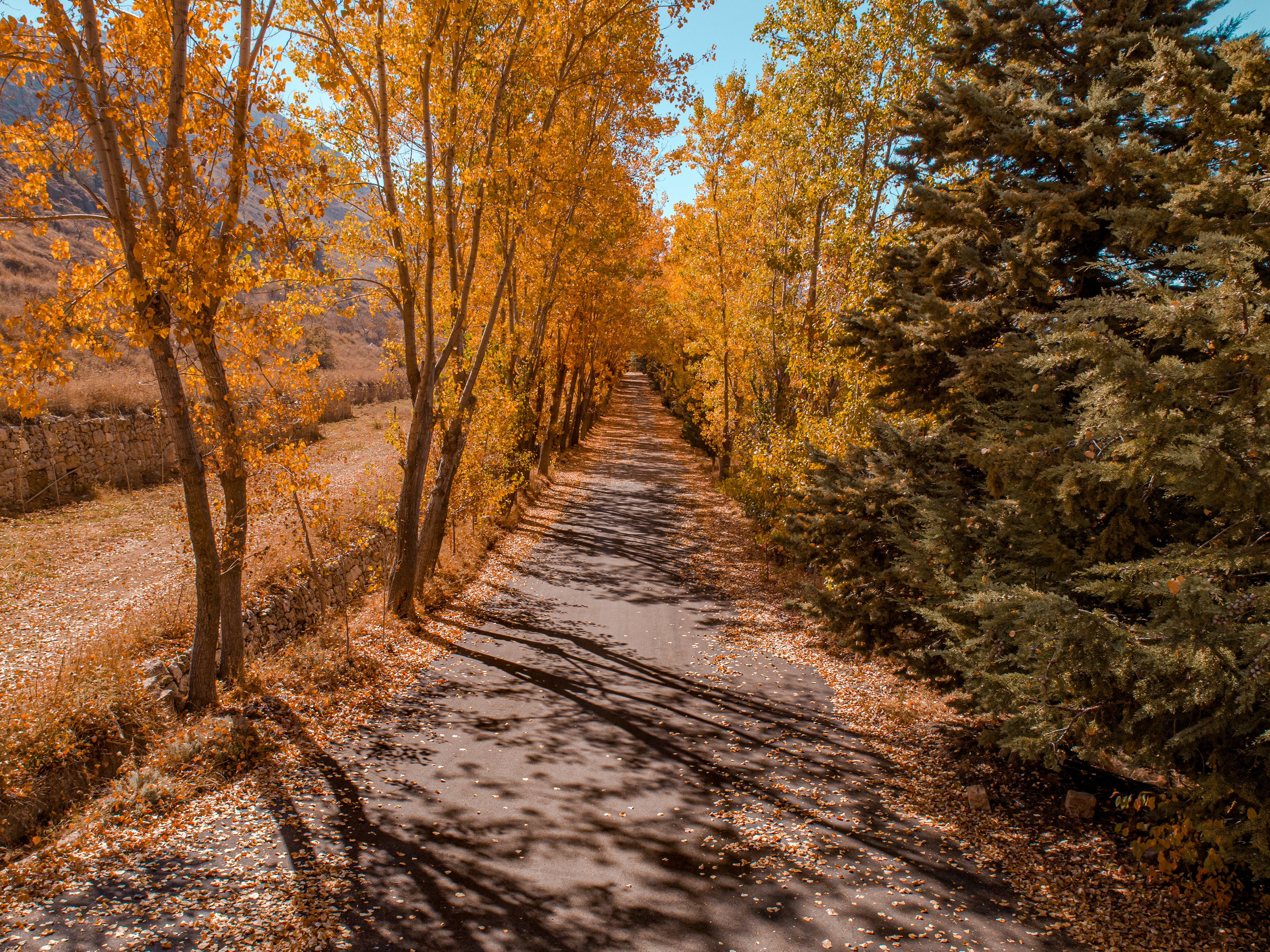 Laklouk ©Rights Reserved