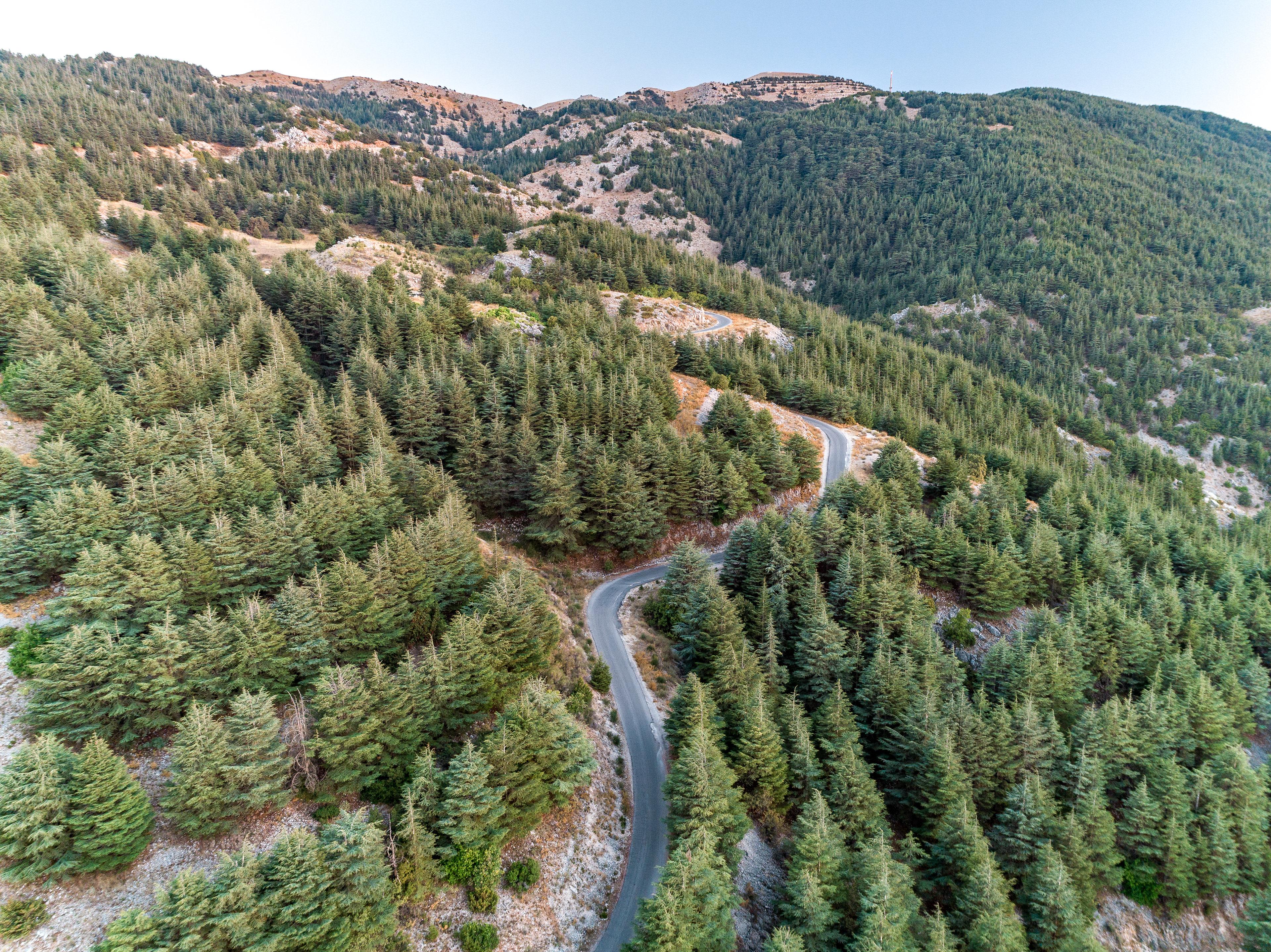 Barouk ©Rights Reserved