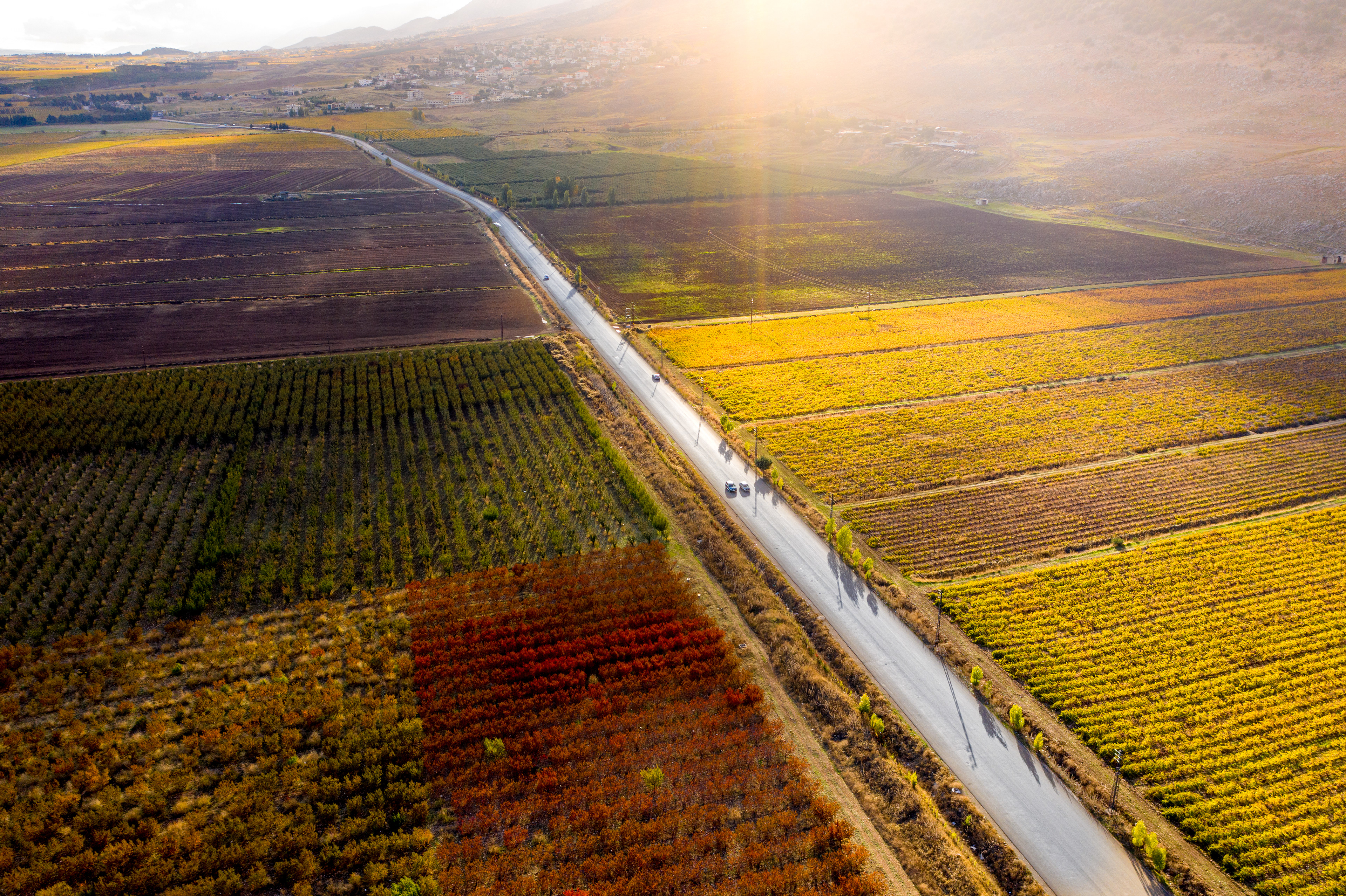 Aana ©Rights Reserved