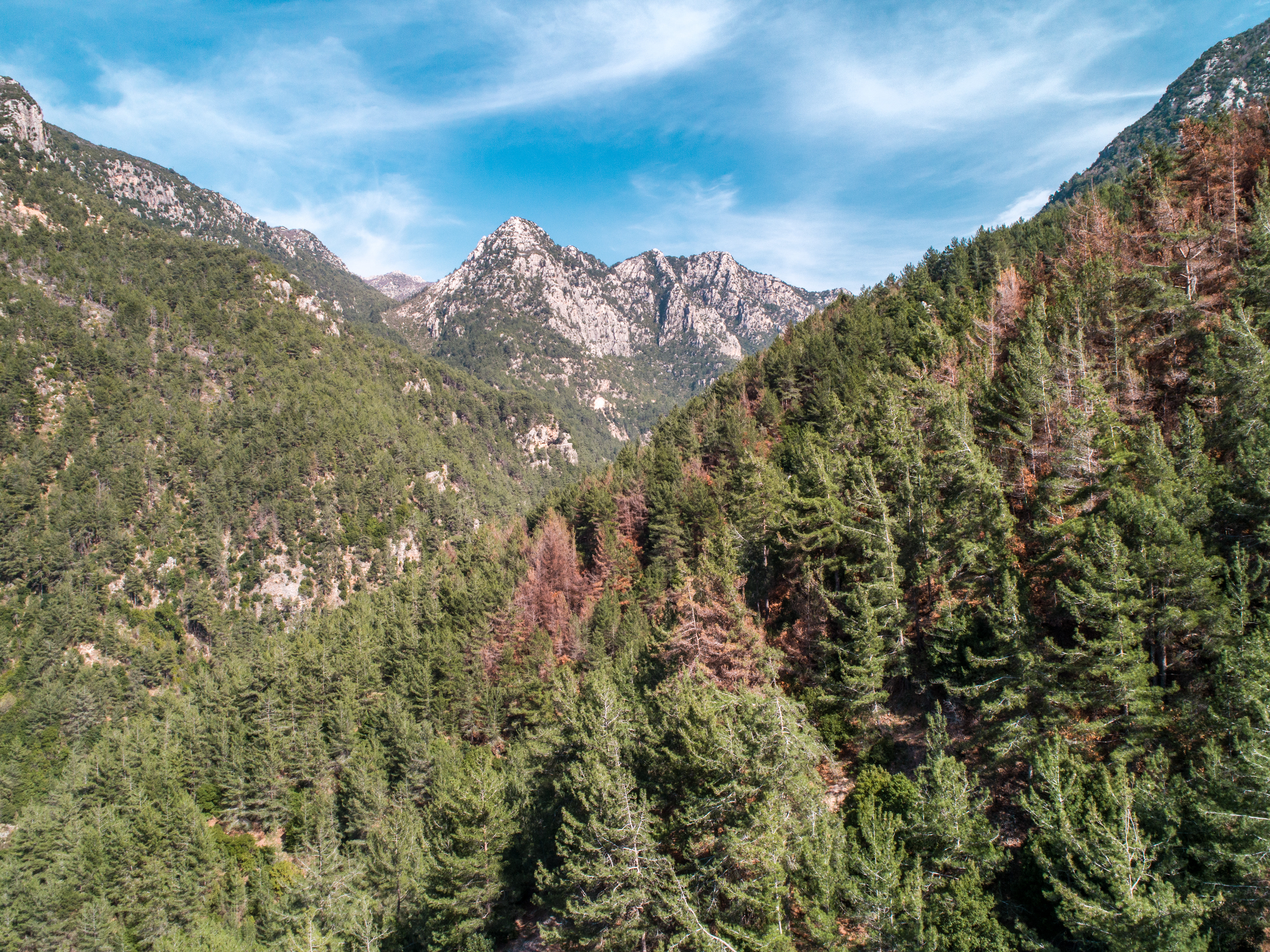 Shouwen ©Rights Reserved