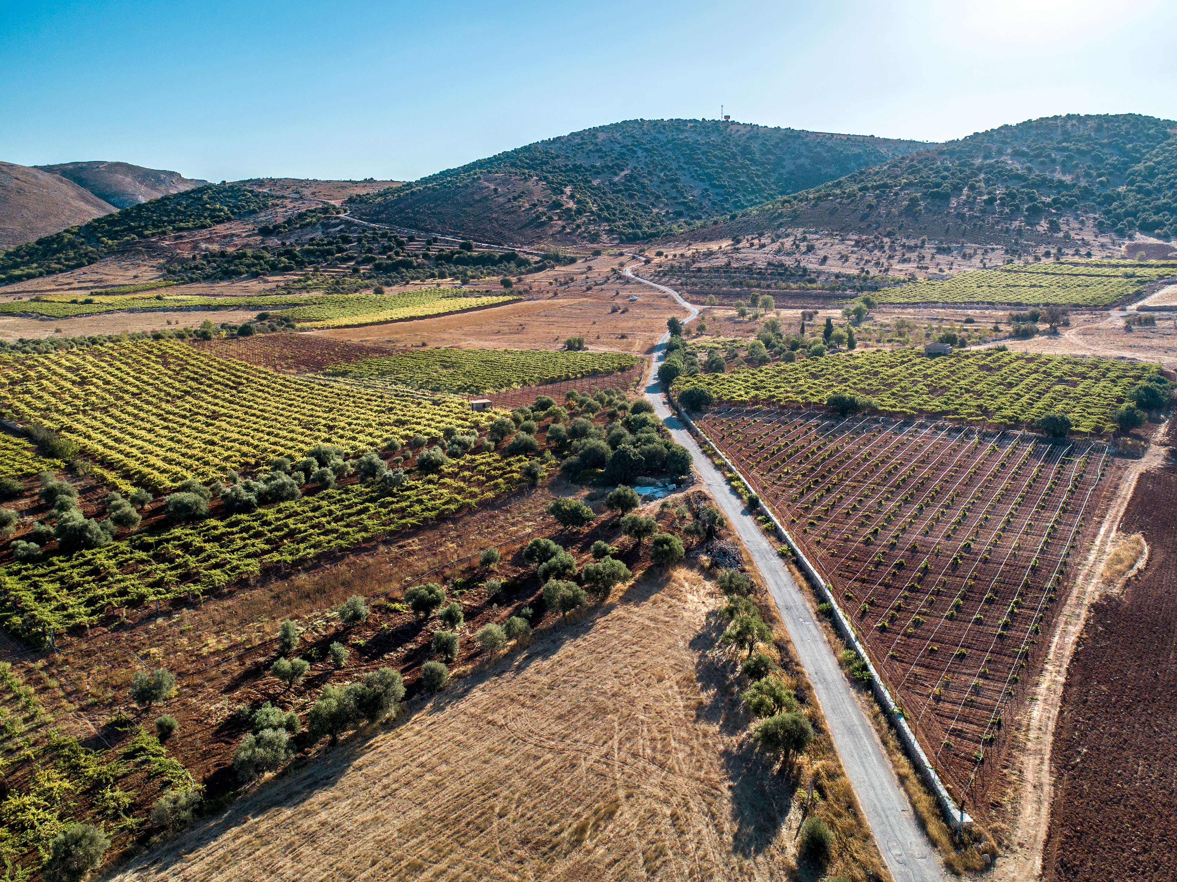 Kfarmeshke ©Rights Reserved