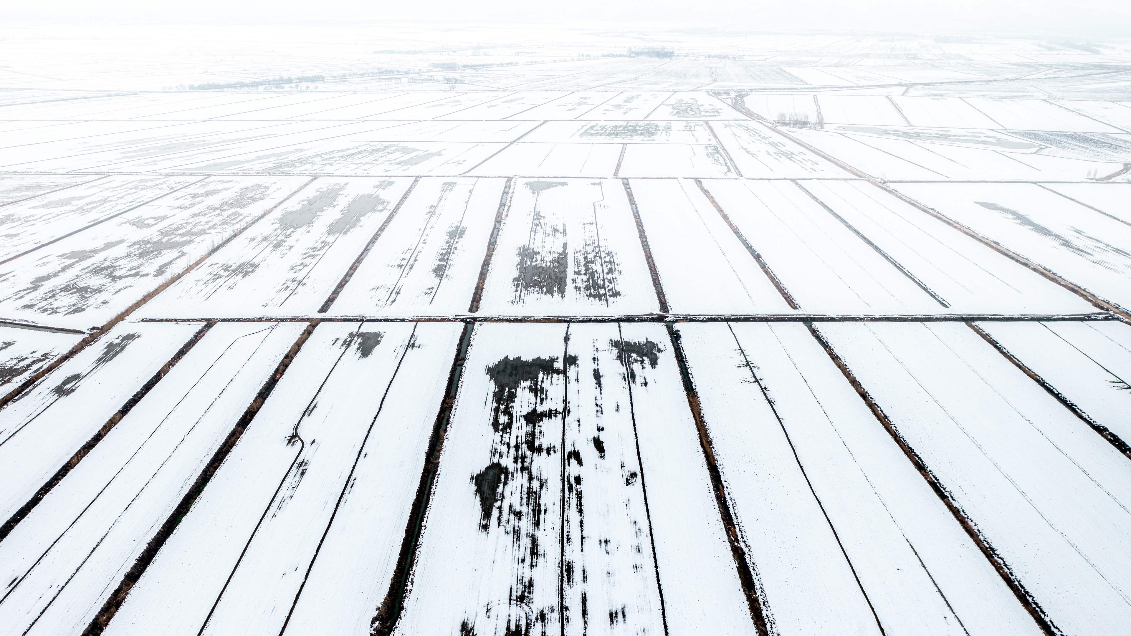 Between the Lines ©Rights Reserved