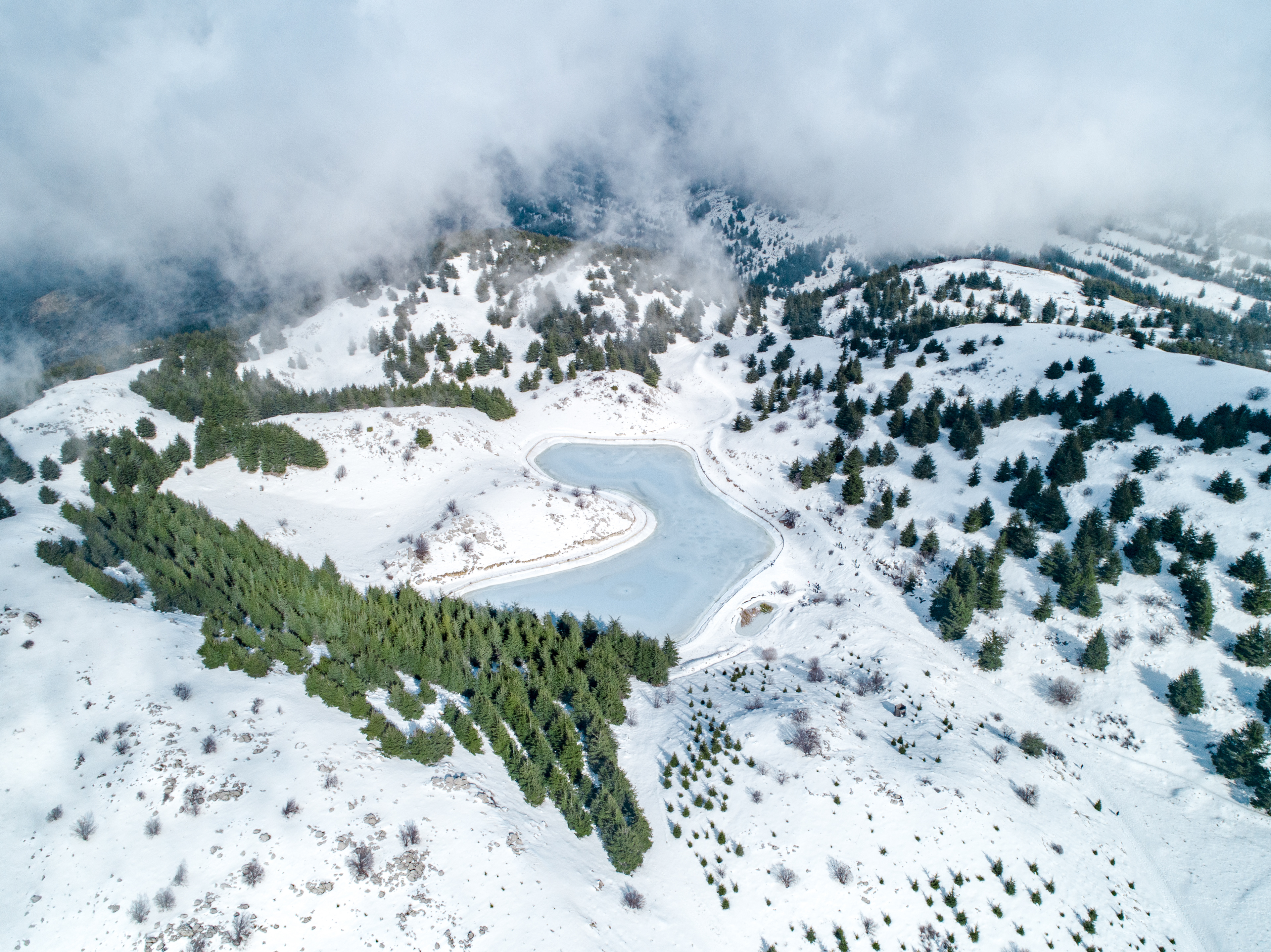 Barouk - Shouf Reserve ©Rights Reserved