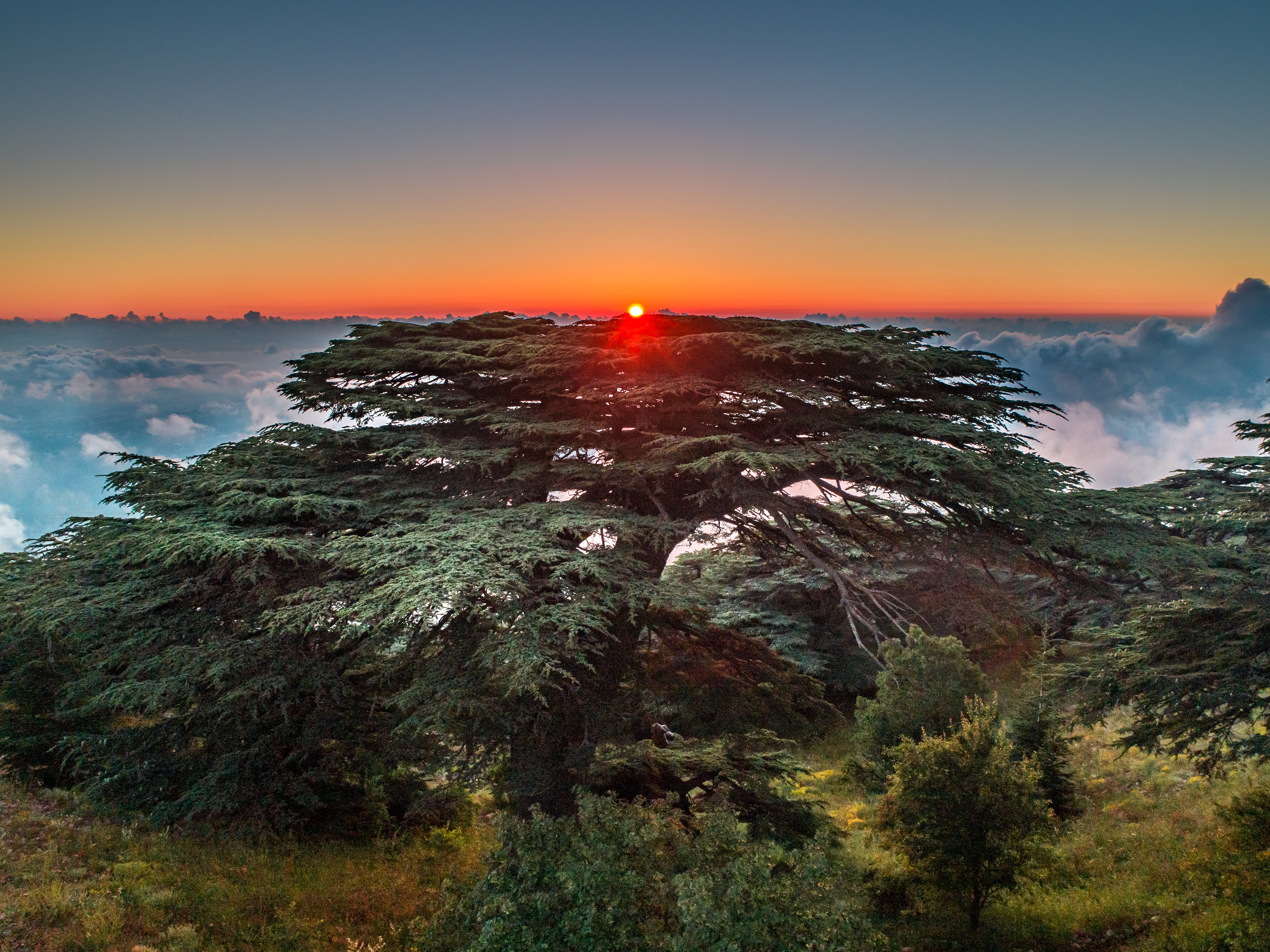Maaser El Shouf ©Rights Reserved