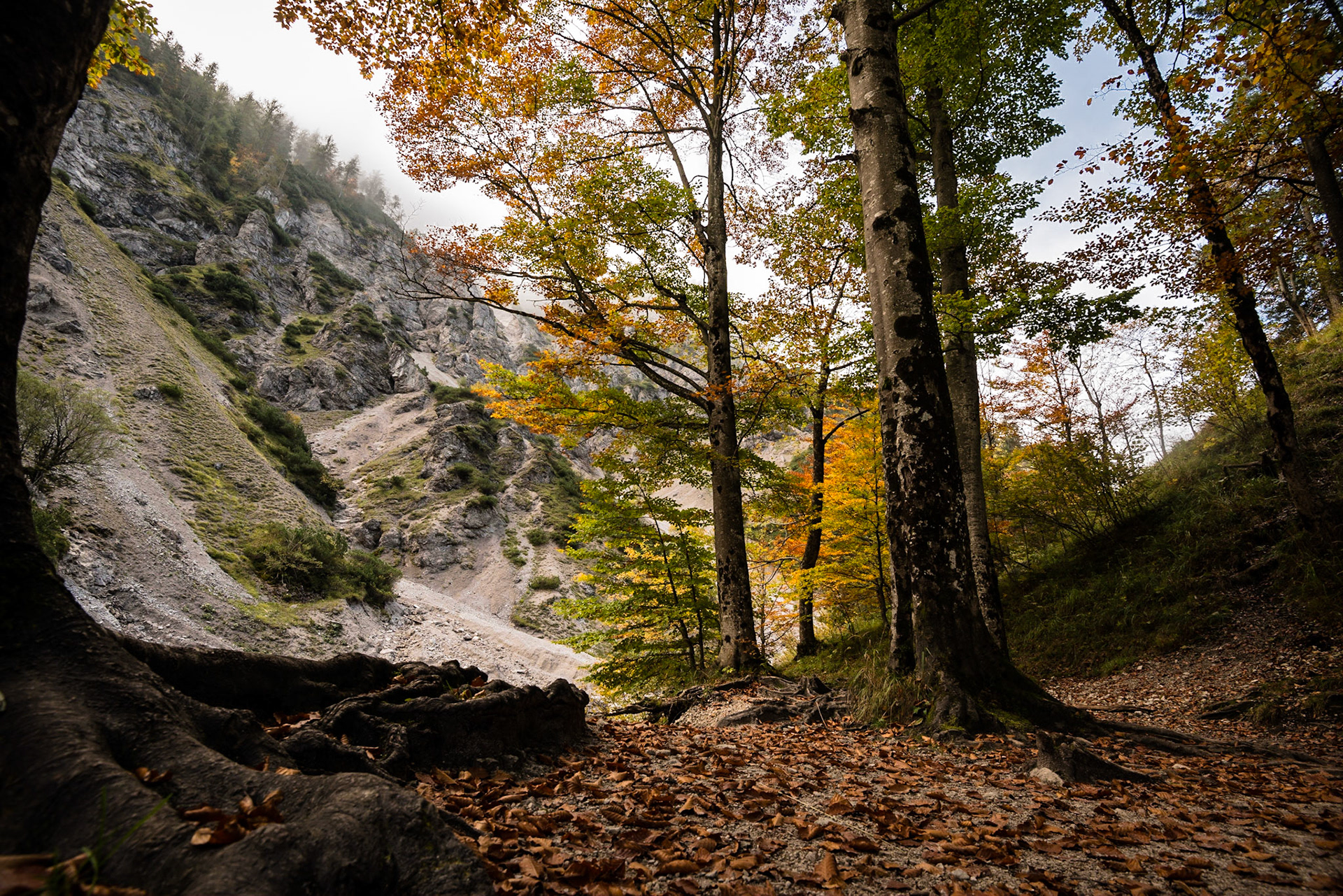 Ötschergräben - NÖ