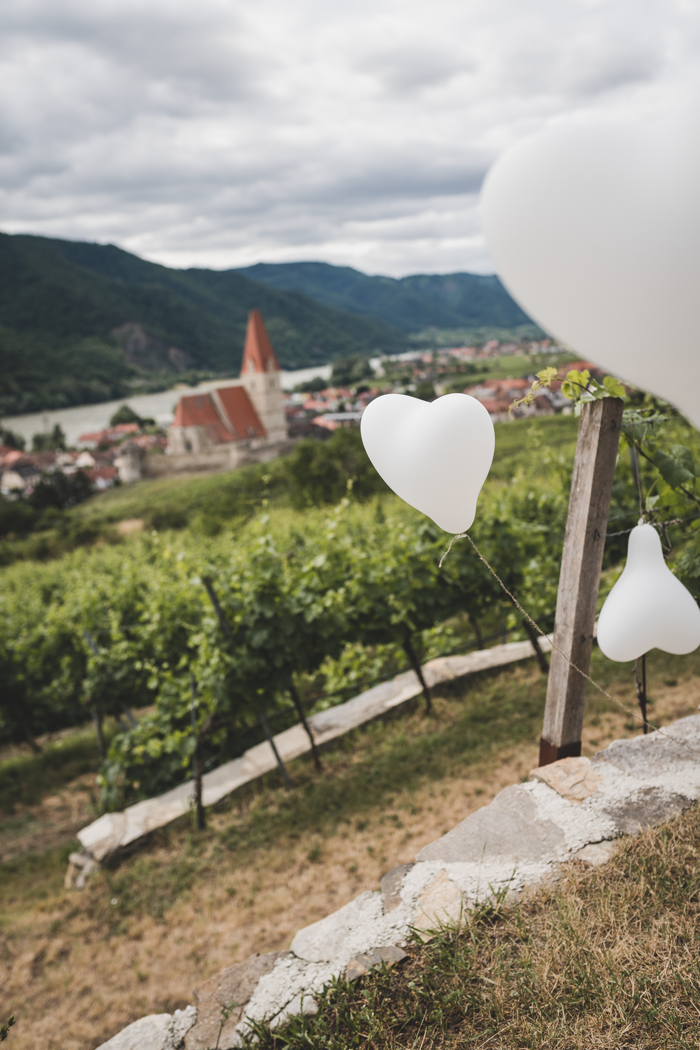 Location: Ferdl Denk, Wachau Weissenkirchen