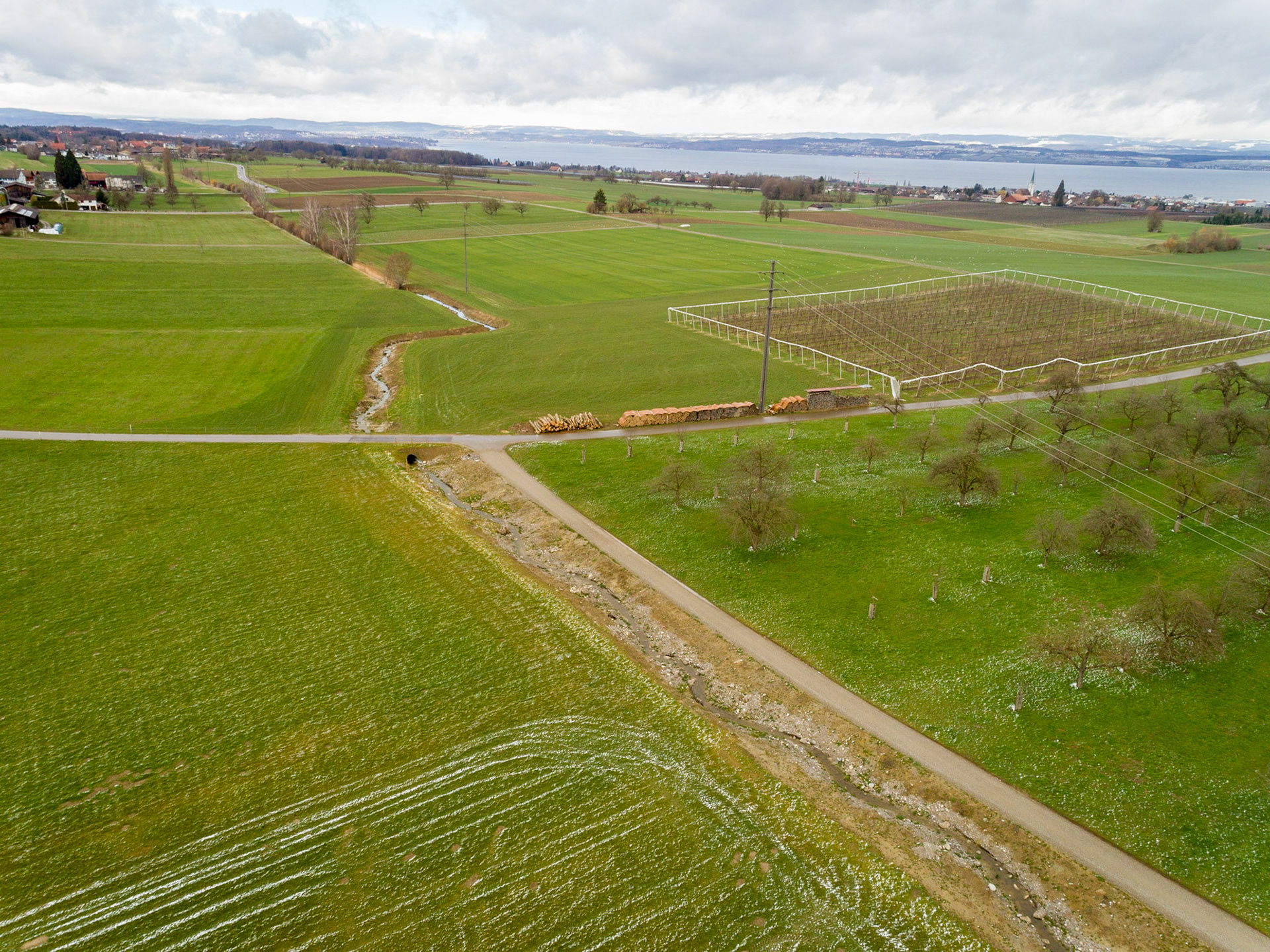 11. März 2019