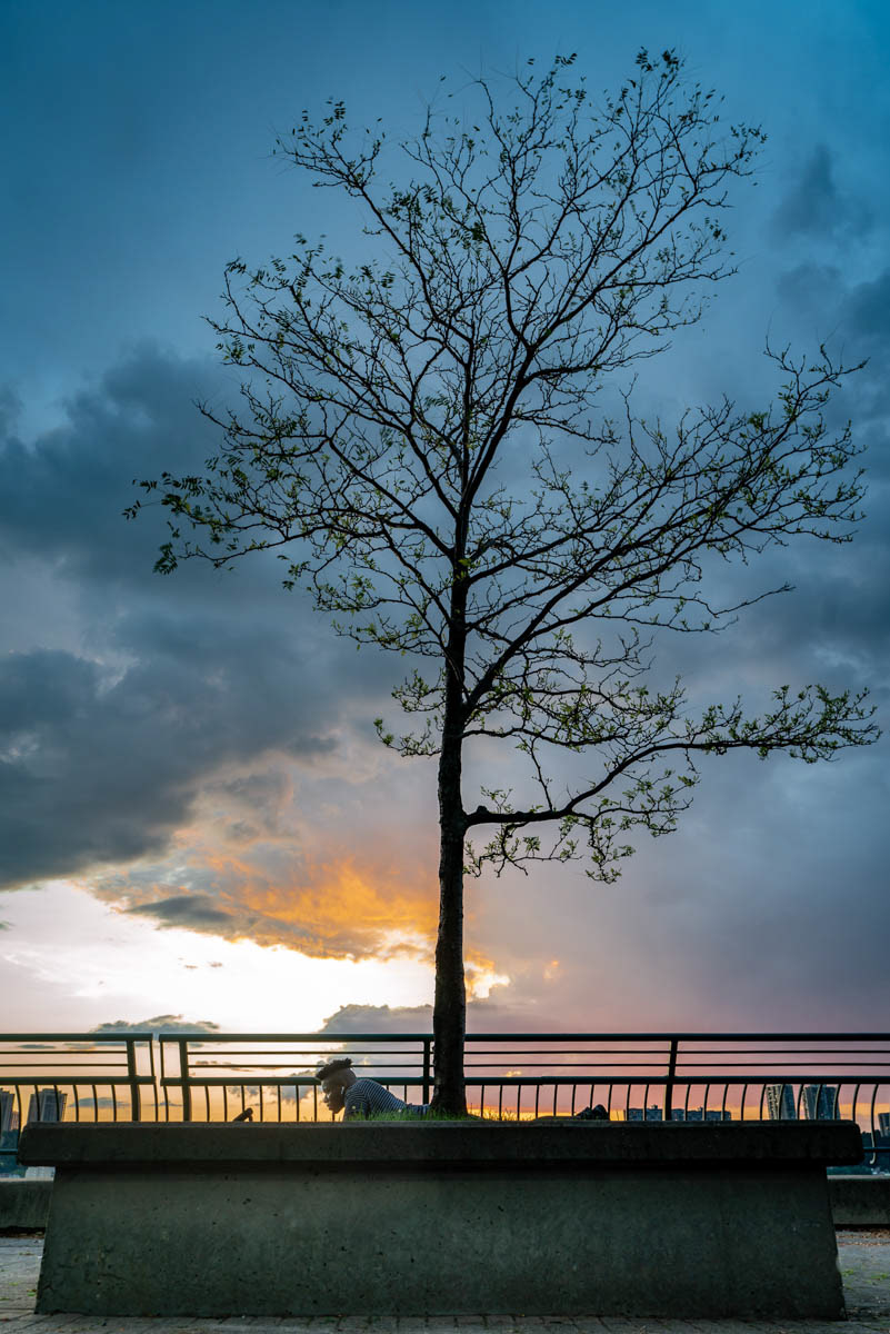 Harlam Park N.Y.C.