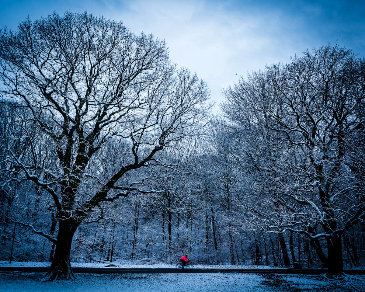 Prospect Park Brooklyn