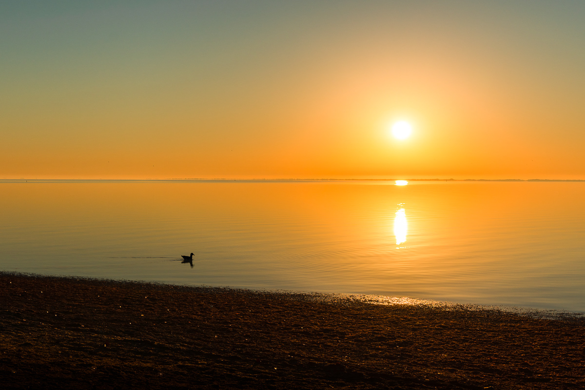 Long Island