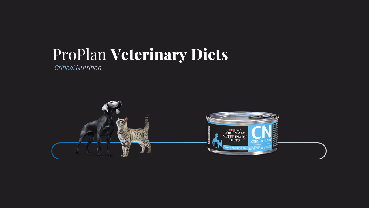 Línea para perros y gatos