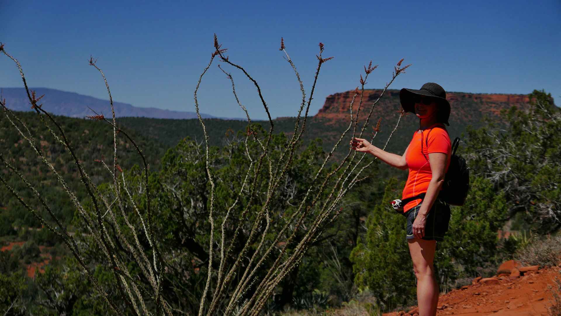 sedona arizona vacation