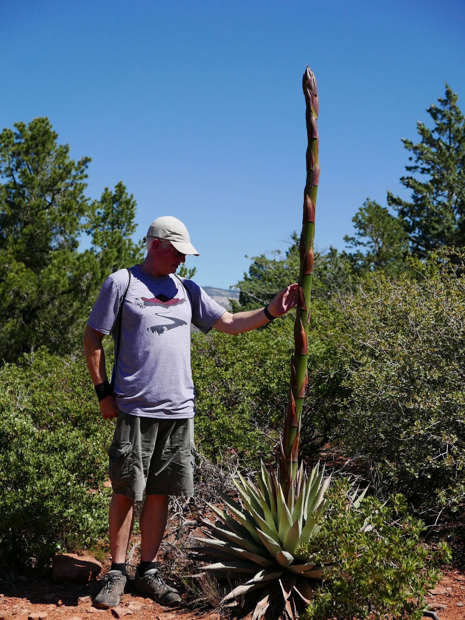sedona arizona vacation