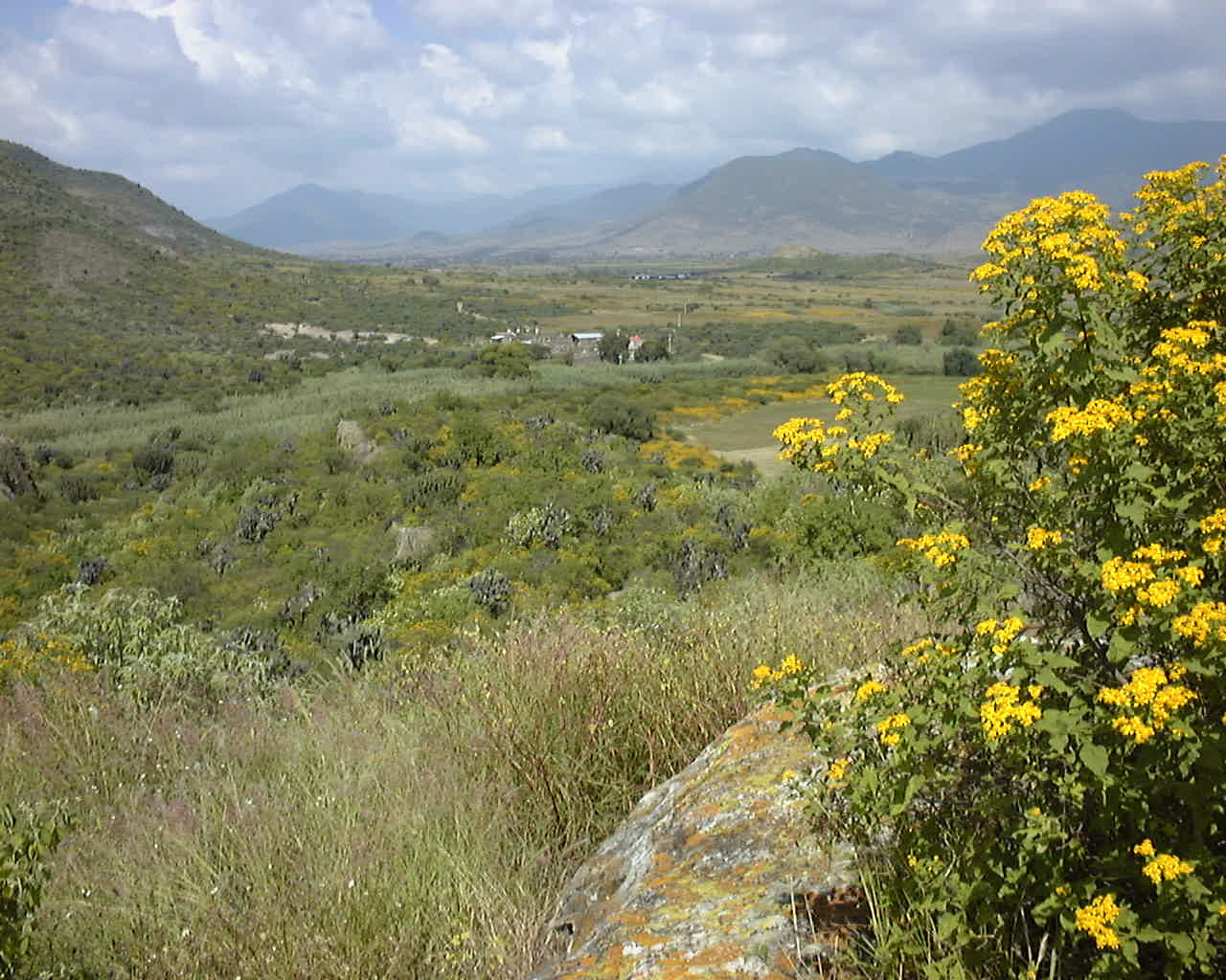oaxaca 1998