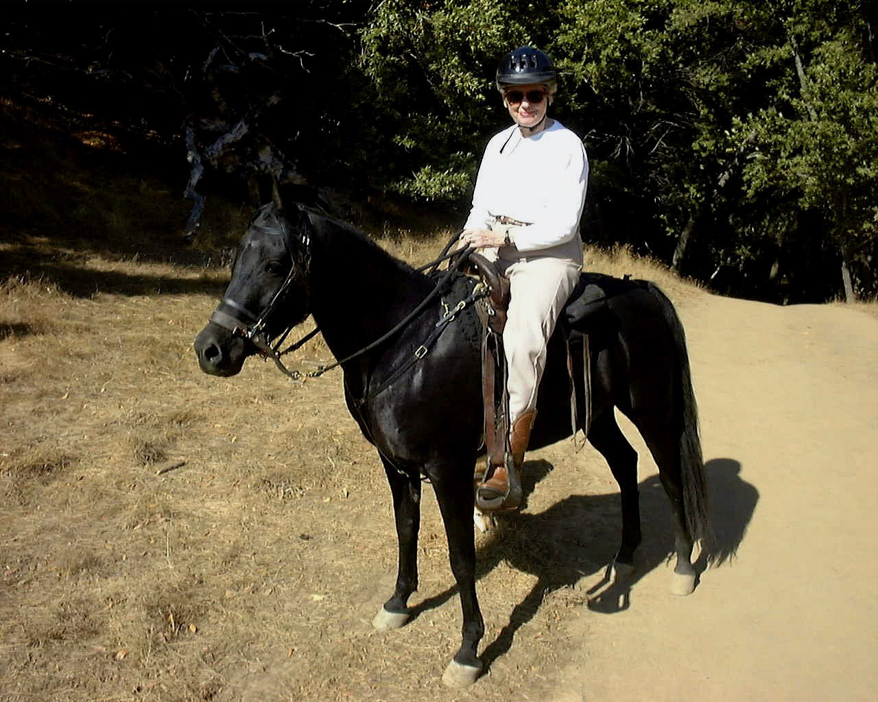 horse