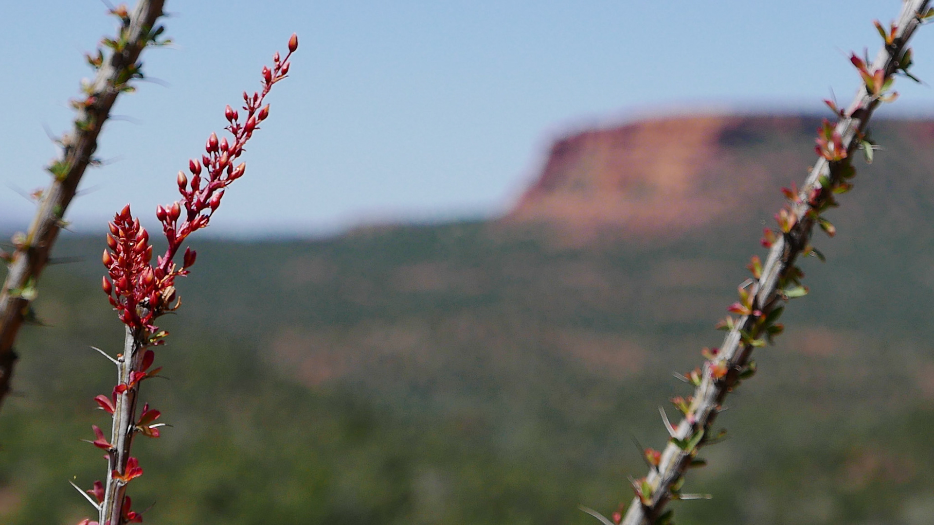 sedona arizona vacation
