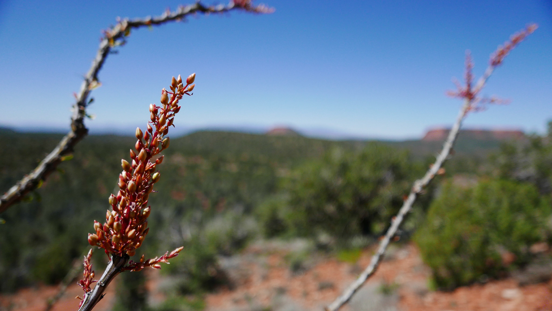 sedona arizona vacation