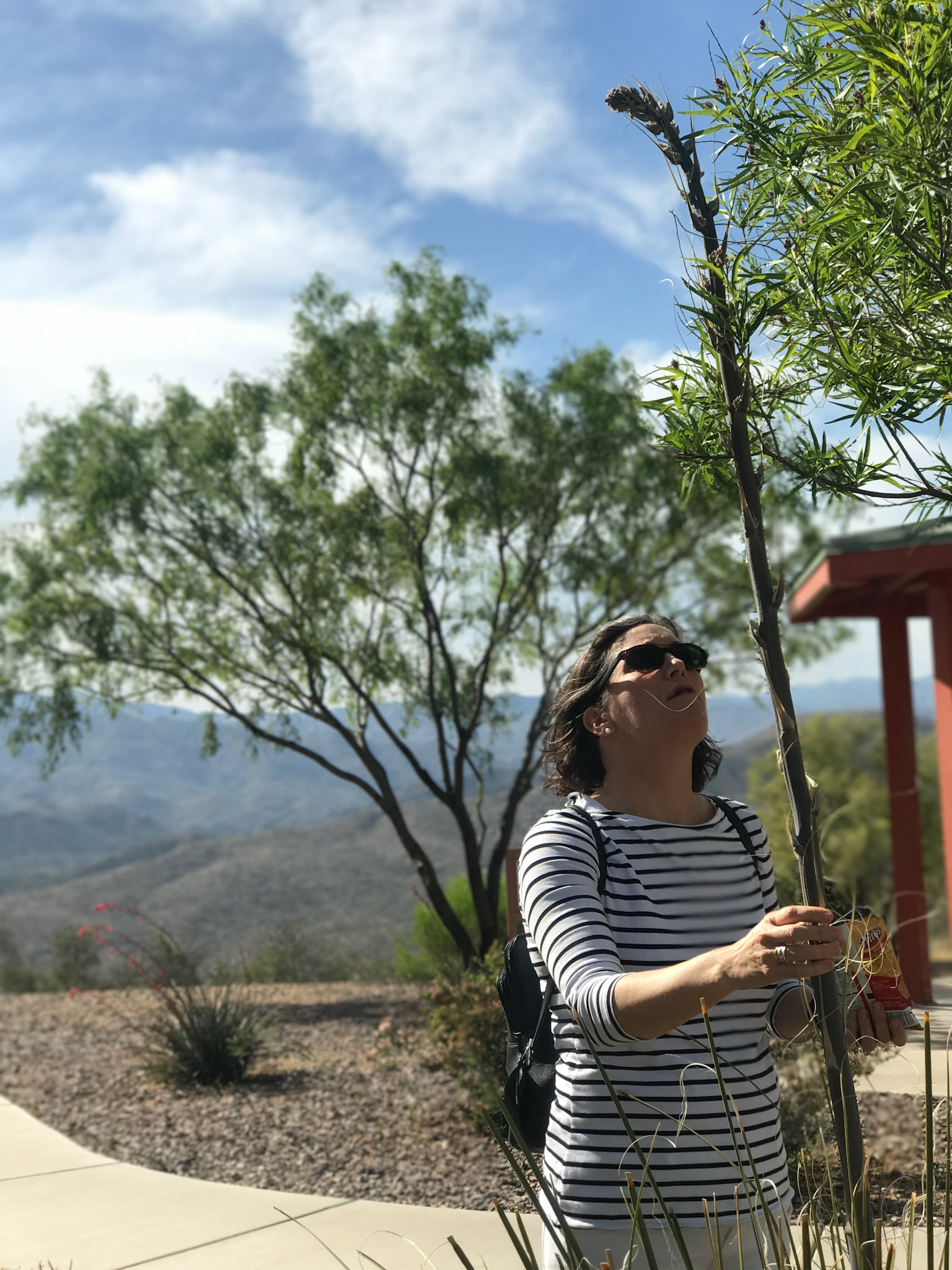 sedona arizona vacation