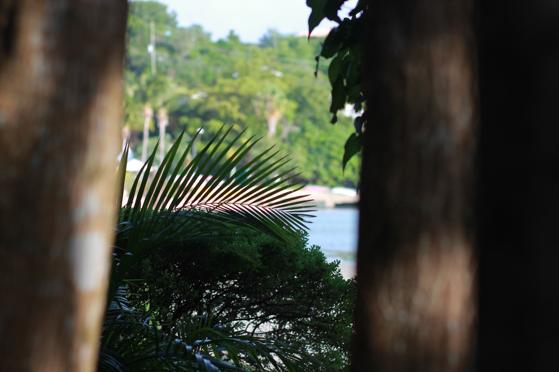 st john vacation