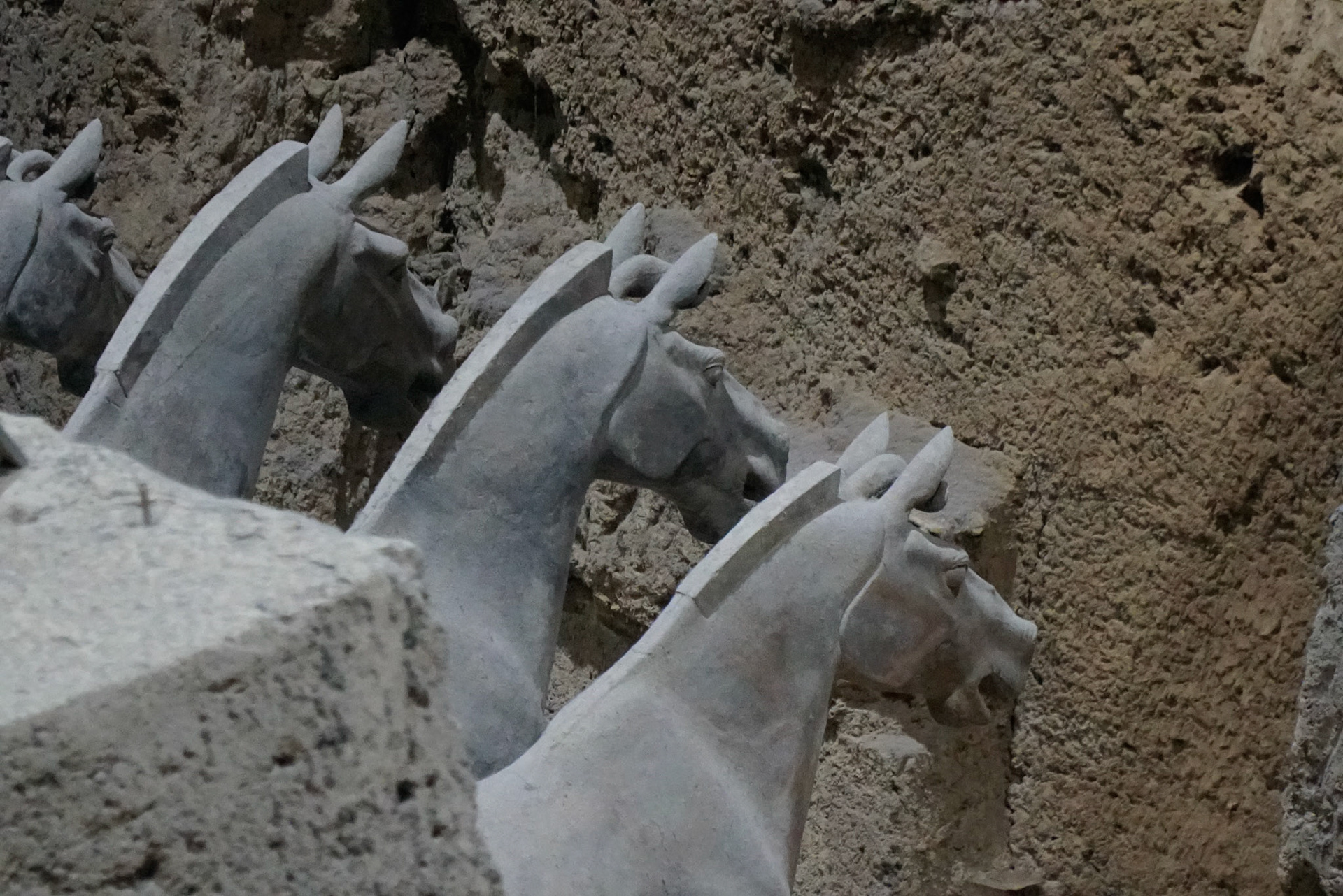 heads