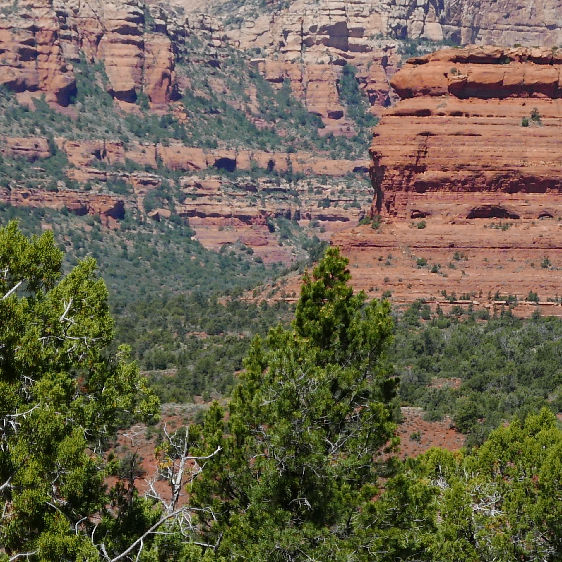 sedona arizona vacation