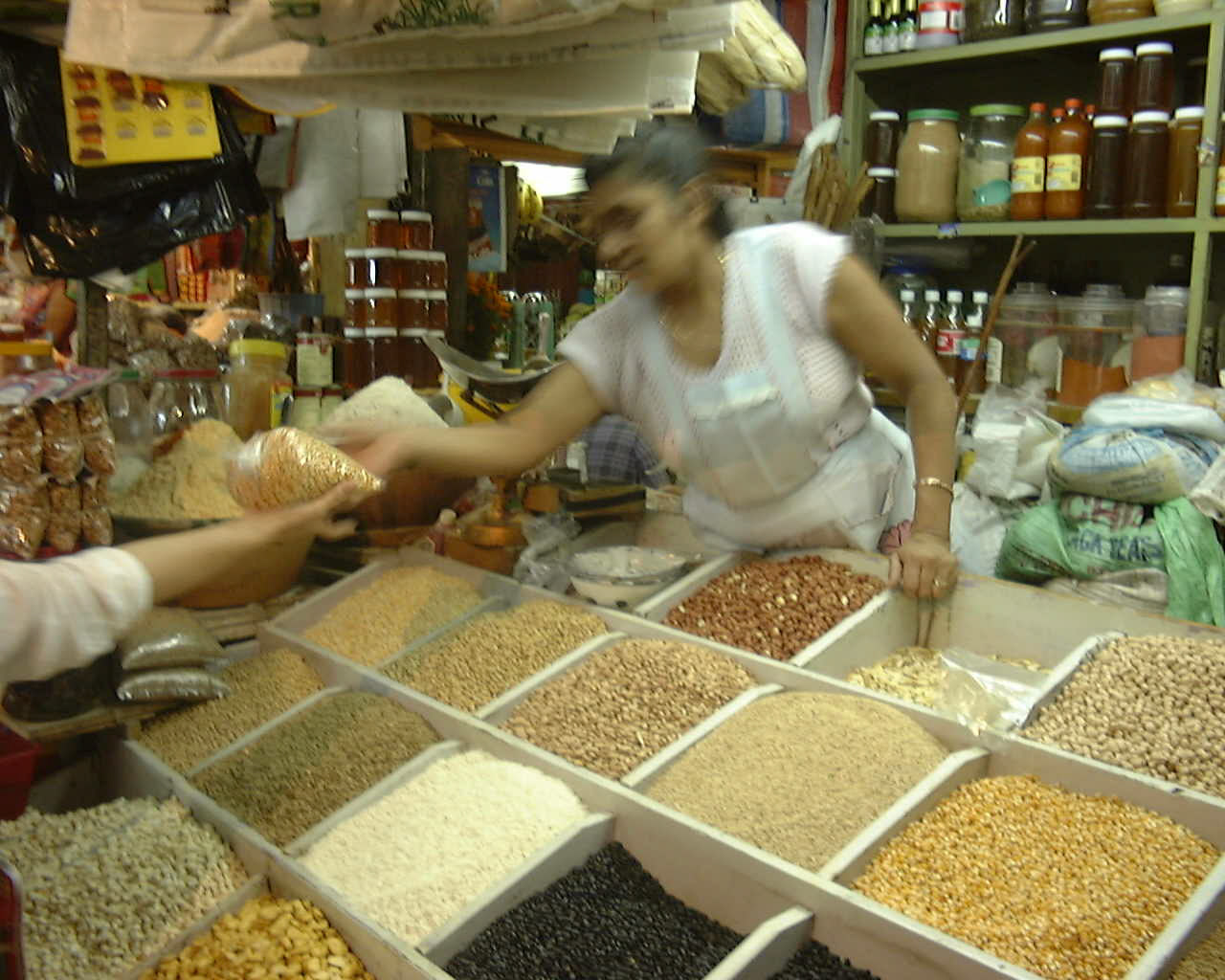 oaxaca 1998