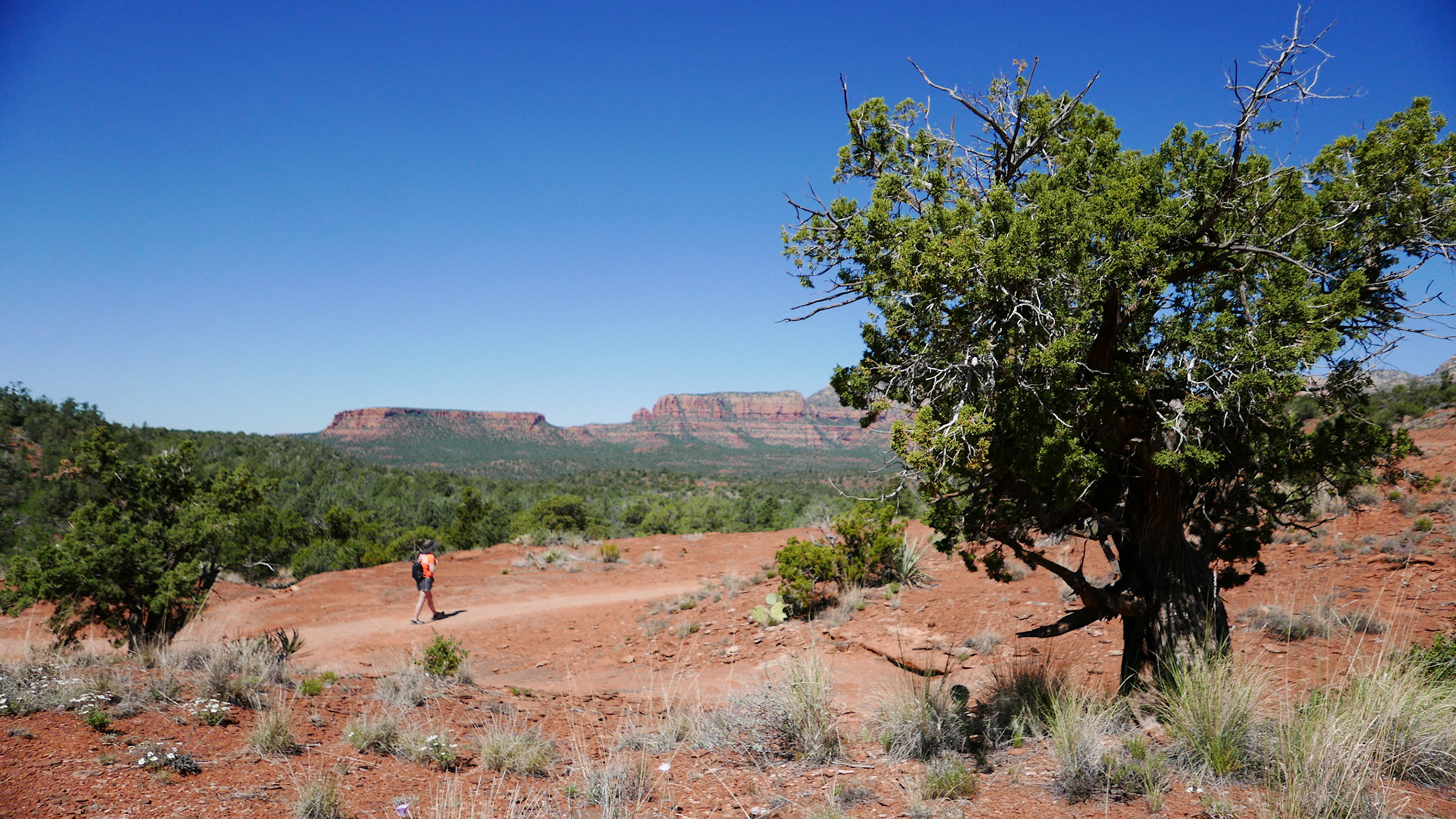 sedona arizona vacation