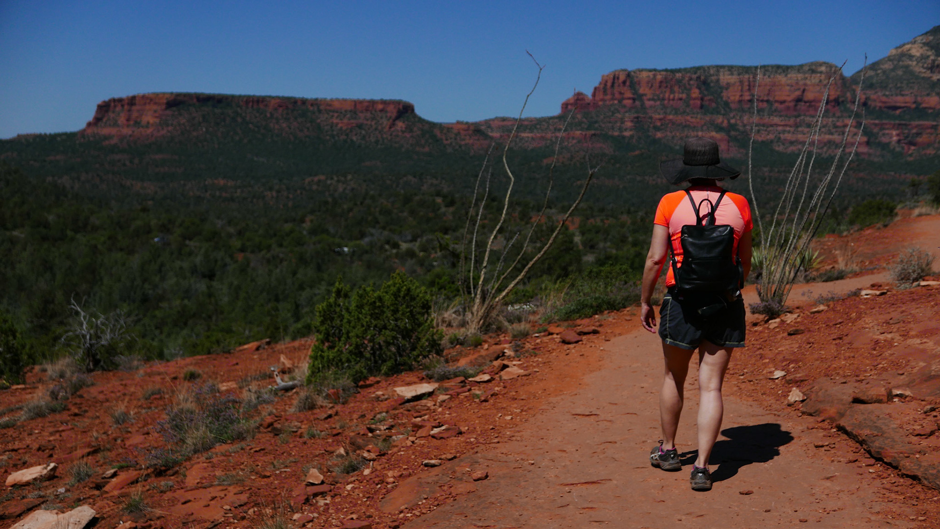 sedona arizona vacation