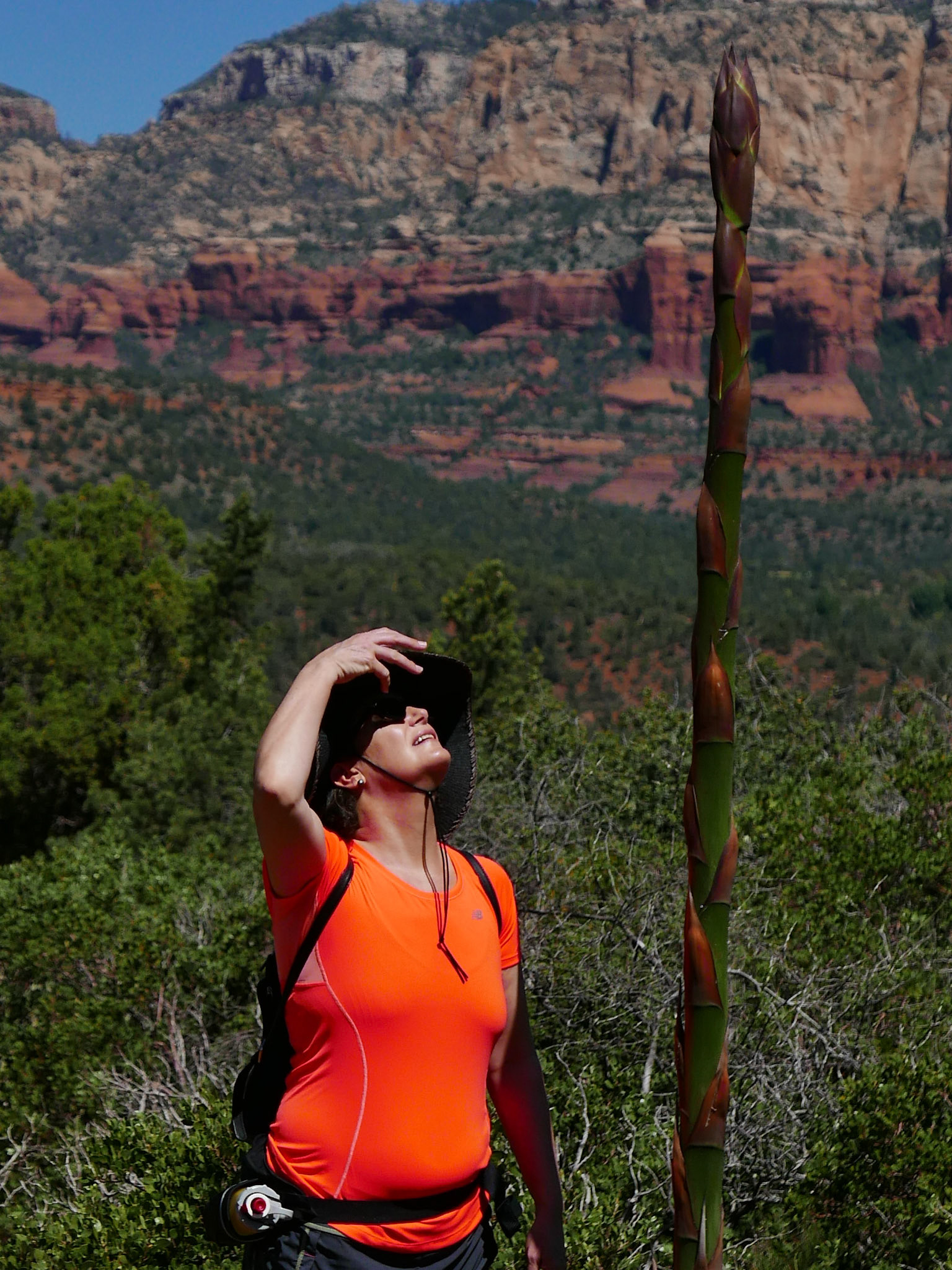 sedona arizona vacation