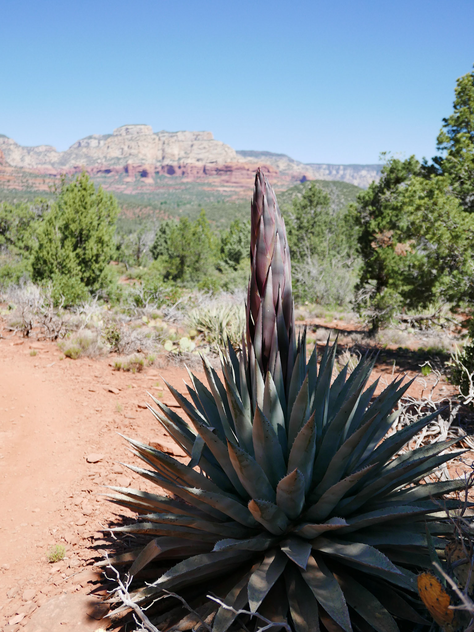 sedona arizona vacation